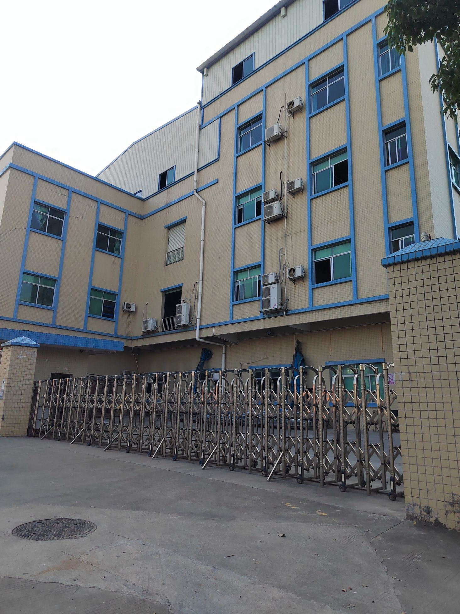 东莞市菱活实业投资有限公司