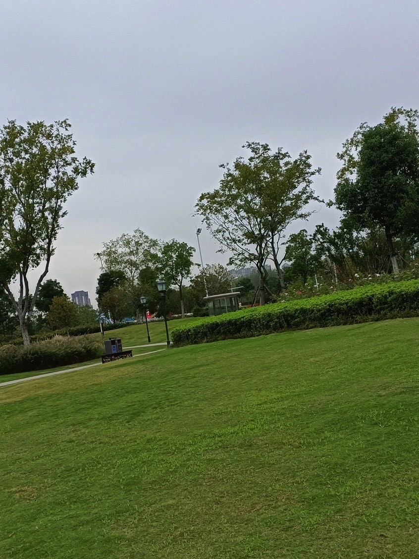 新安江公园旅行图片