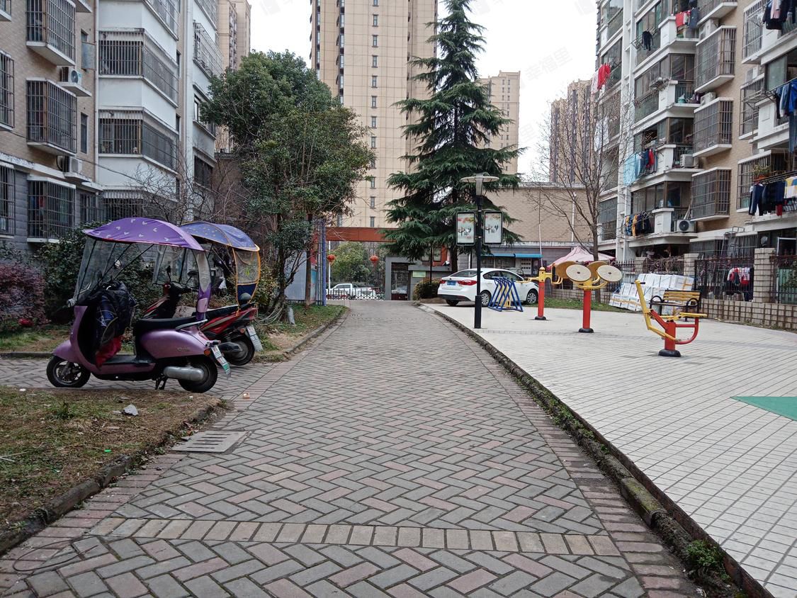 新安江公园旅行图片 1