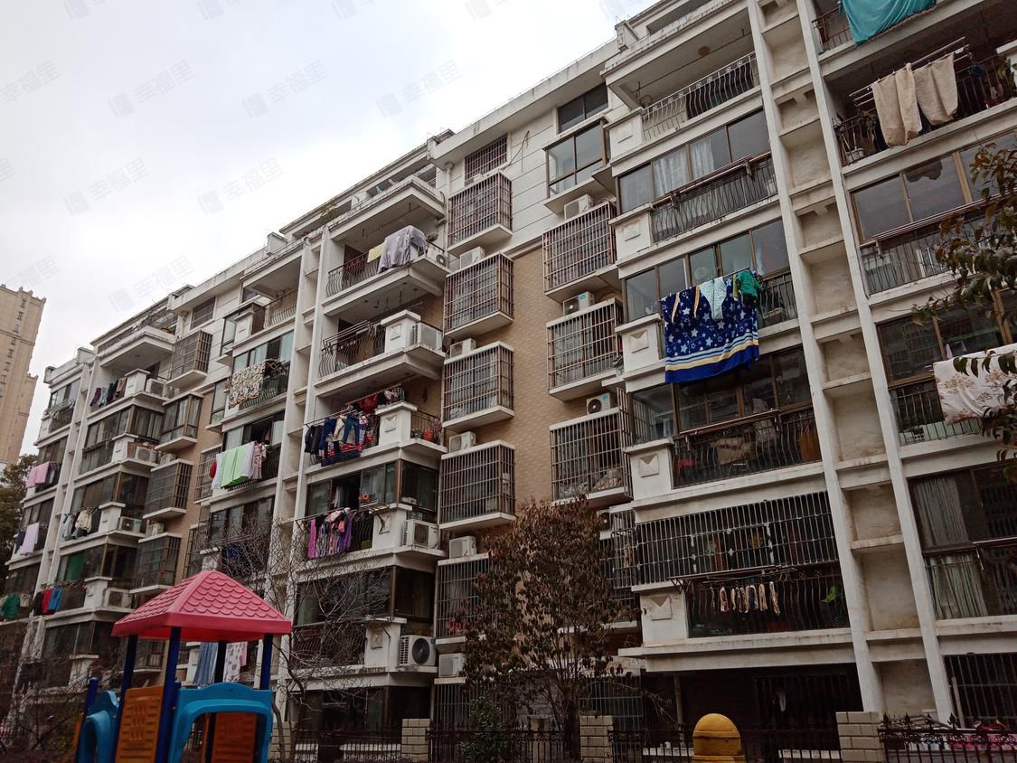 新安江公园旅行图片 2