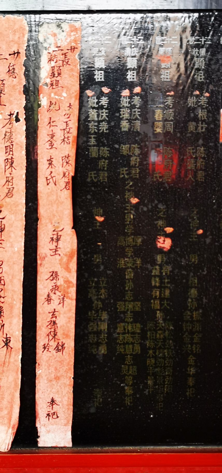 陈氏祖祠旅行图片 2