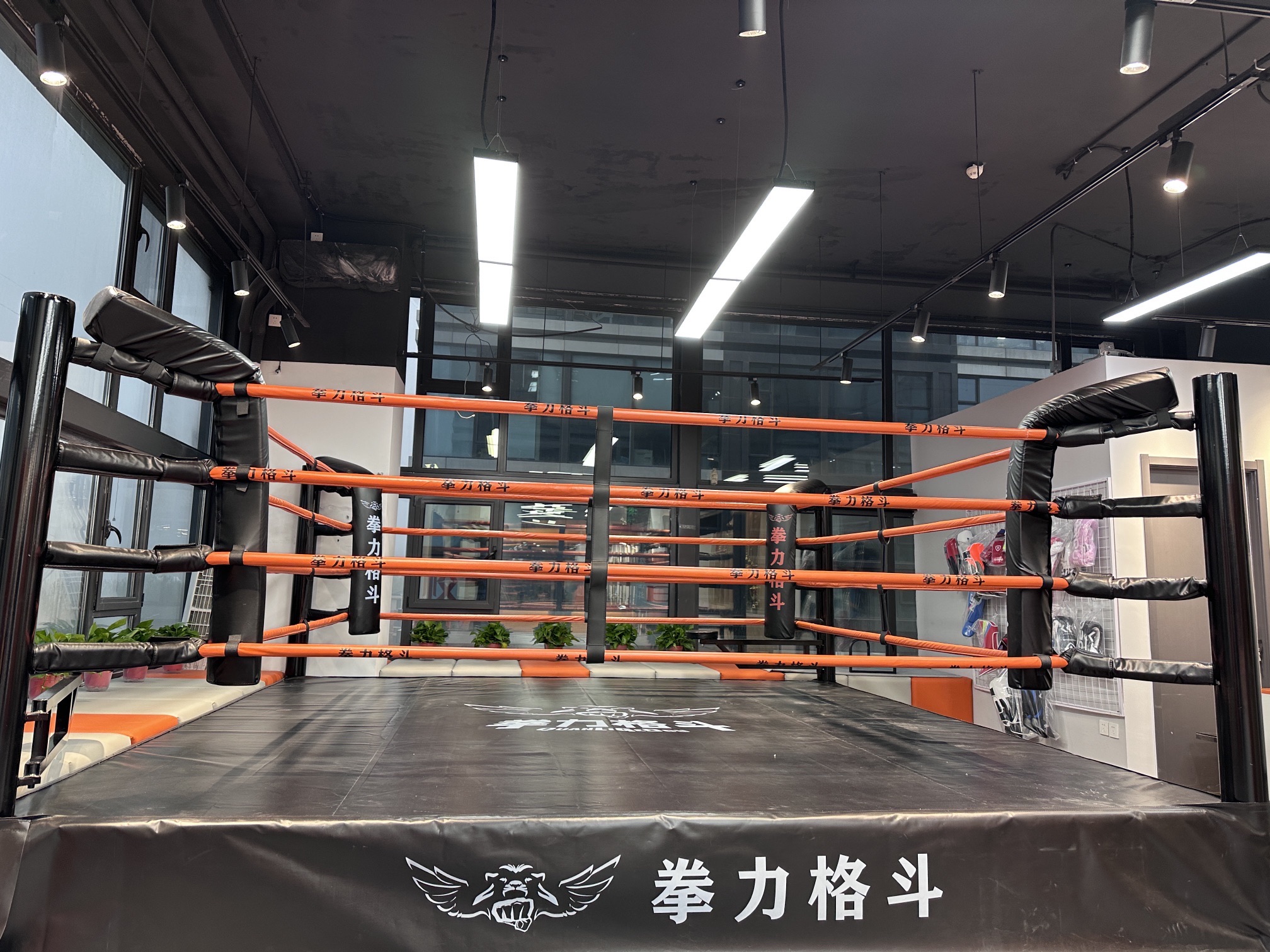 场地封面-拳力格斗