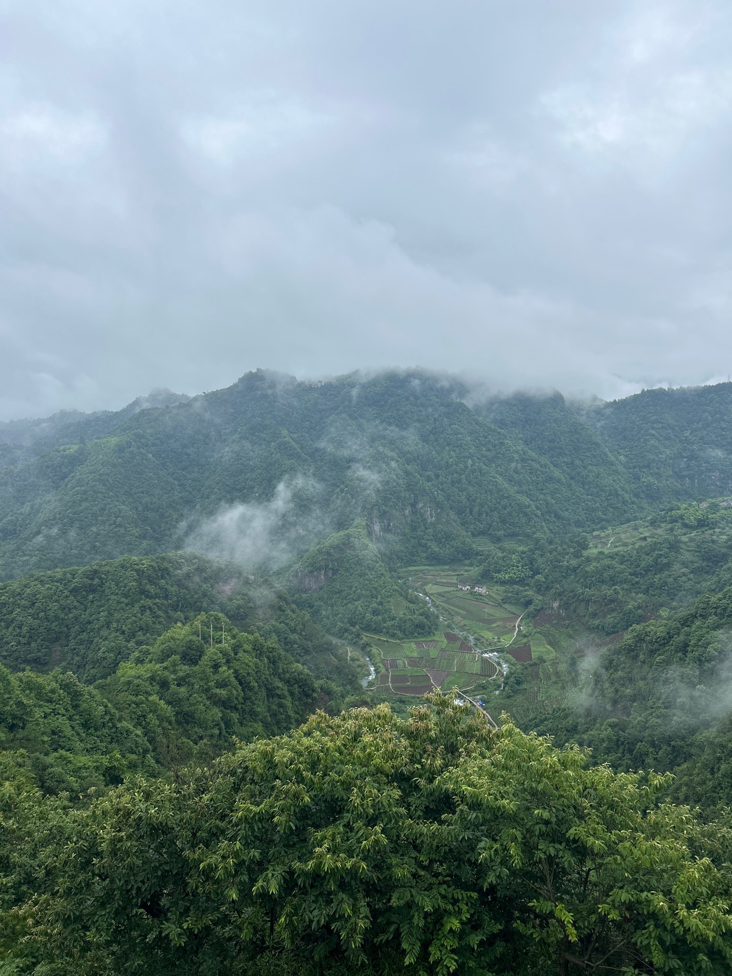 飞龙瀑布旅行图片 1