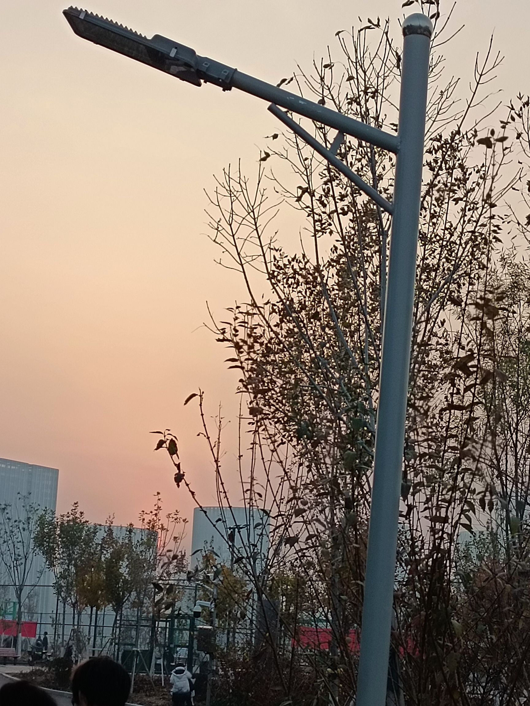 山青毓秀山山体运动公园旅行图片 2