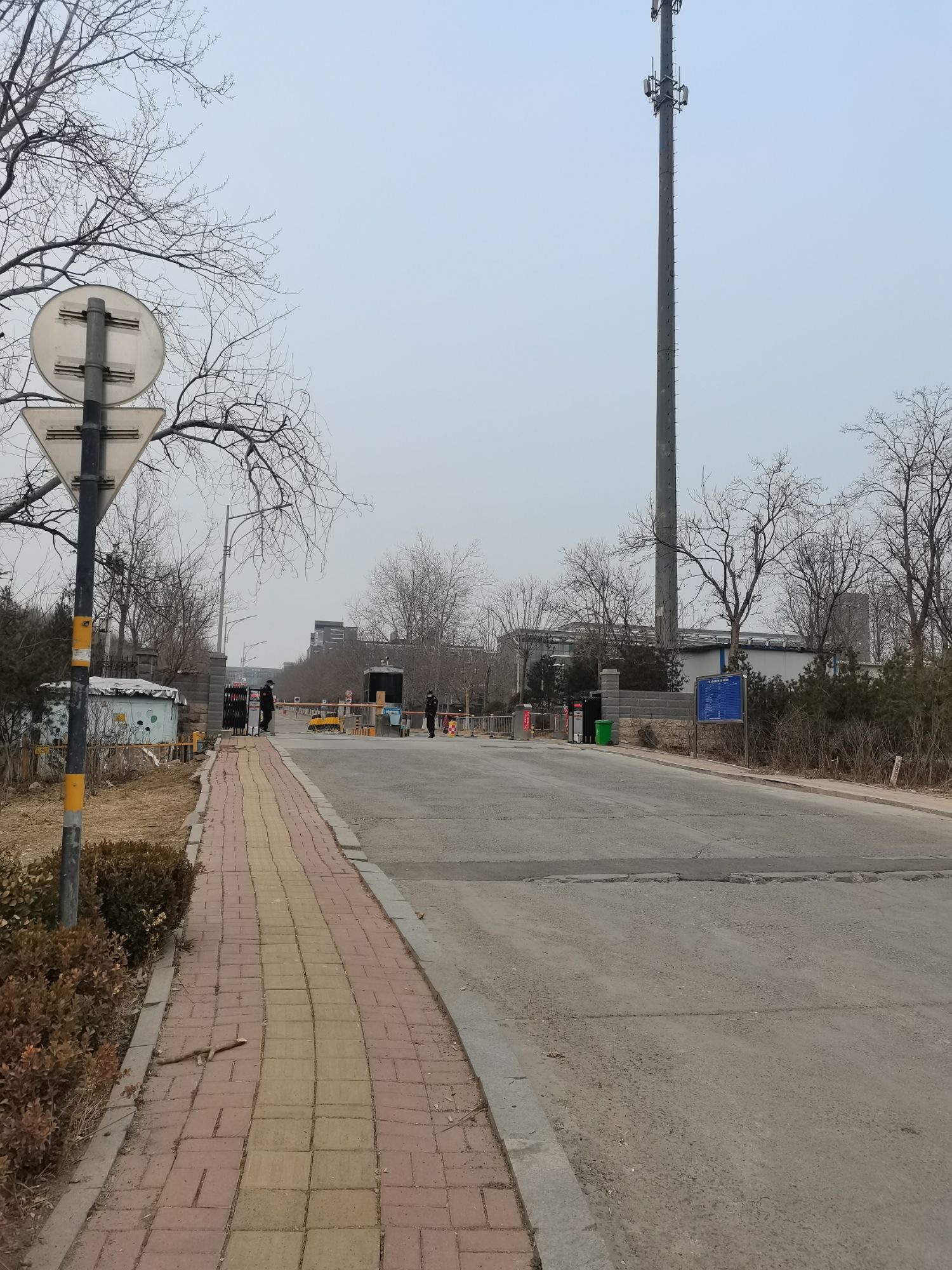 山青毓秀山山体运动公园旅行图片 2