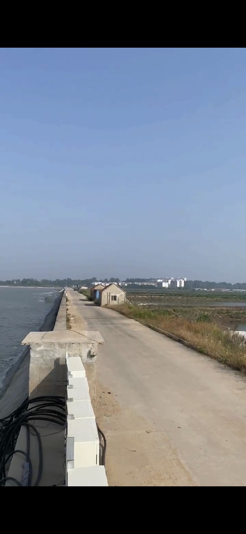 日照大竹蛏–西施舌生态系统海洋特别保护区旅行图片 3