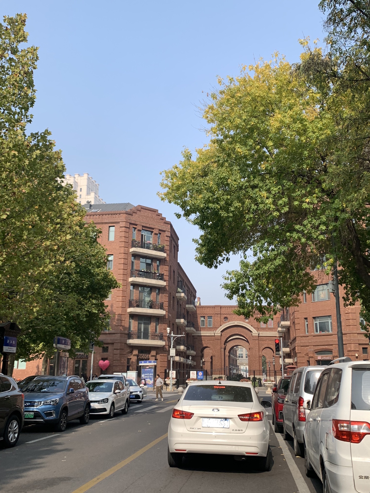 五大道公园旅行图片 2
