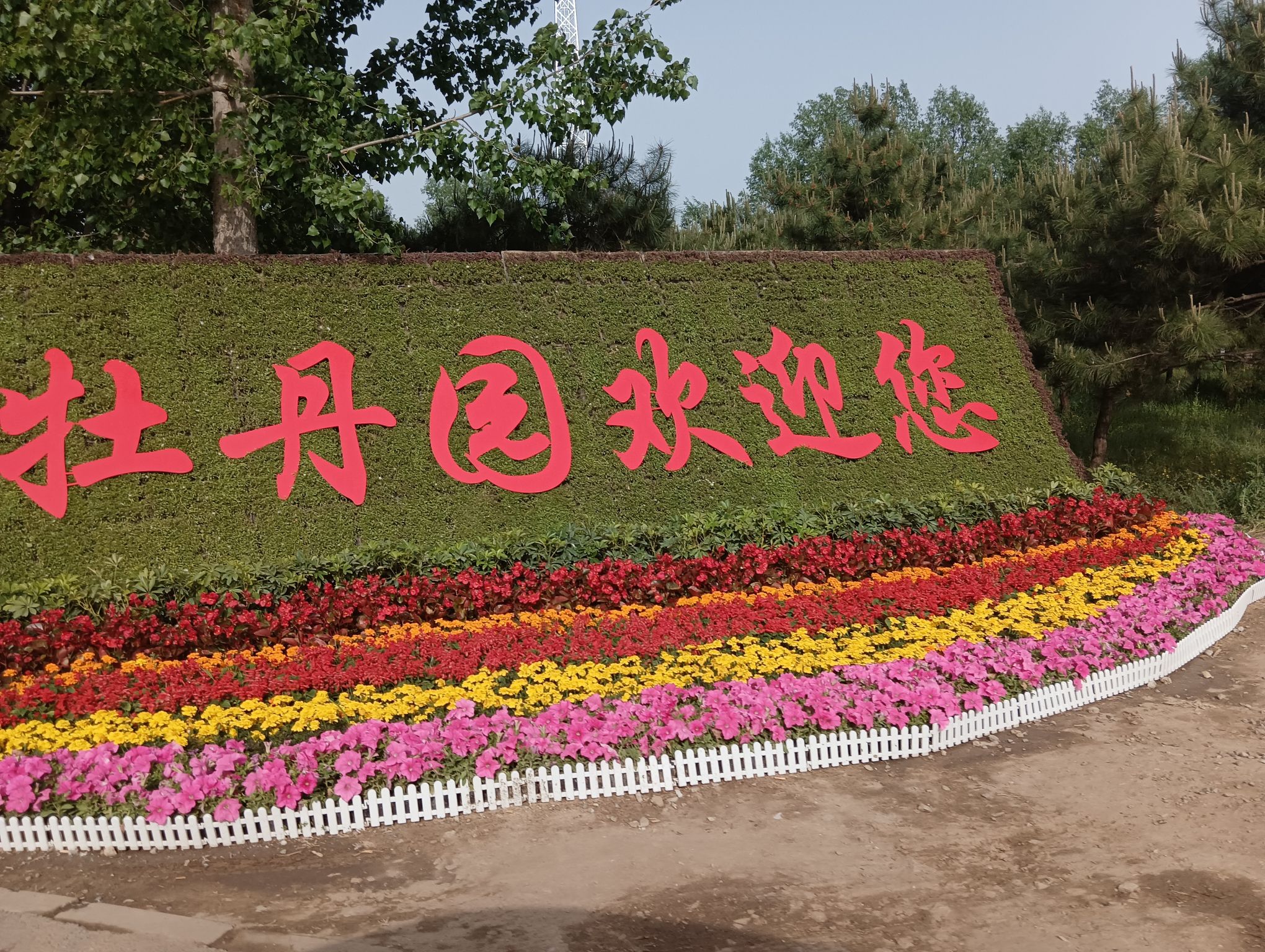 运河牡丹园旅行图片 1