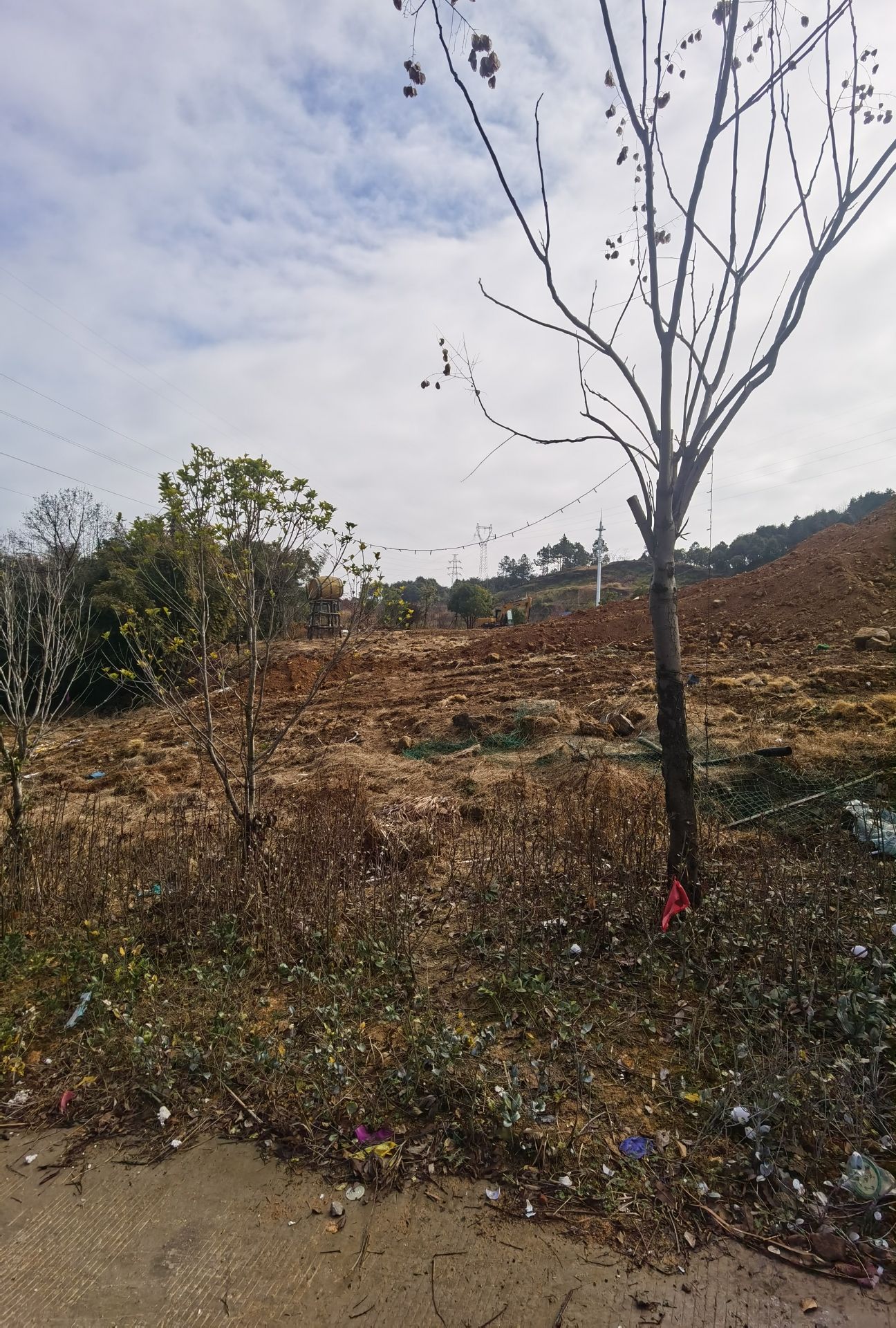 瑞安集云山花海旅行图片 1