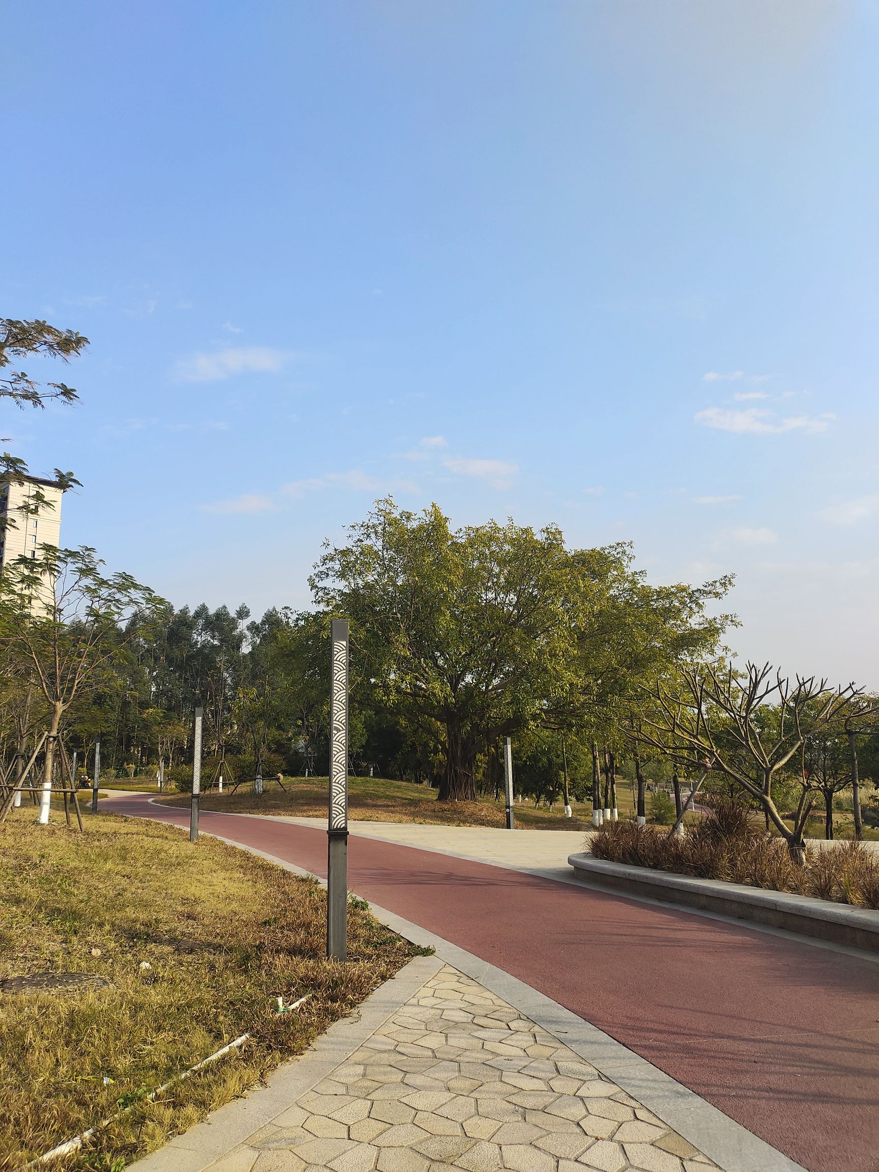 同安新城河滩公园旅行图片 3