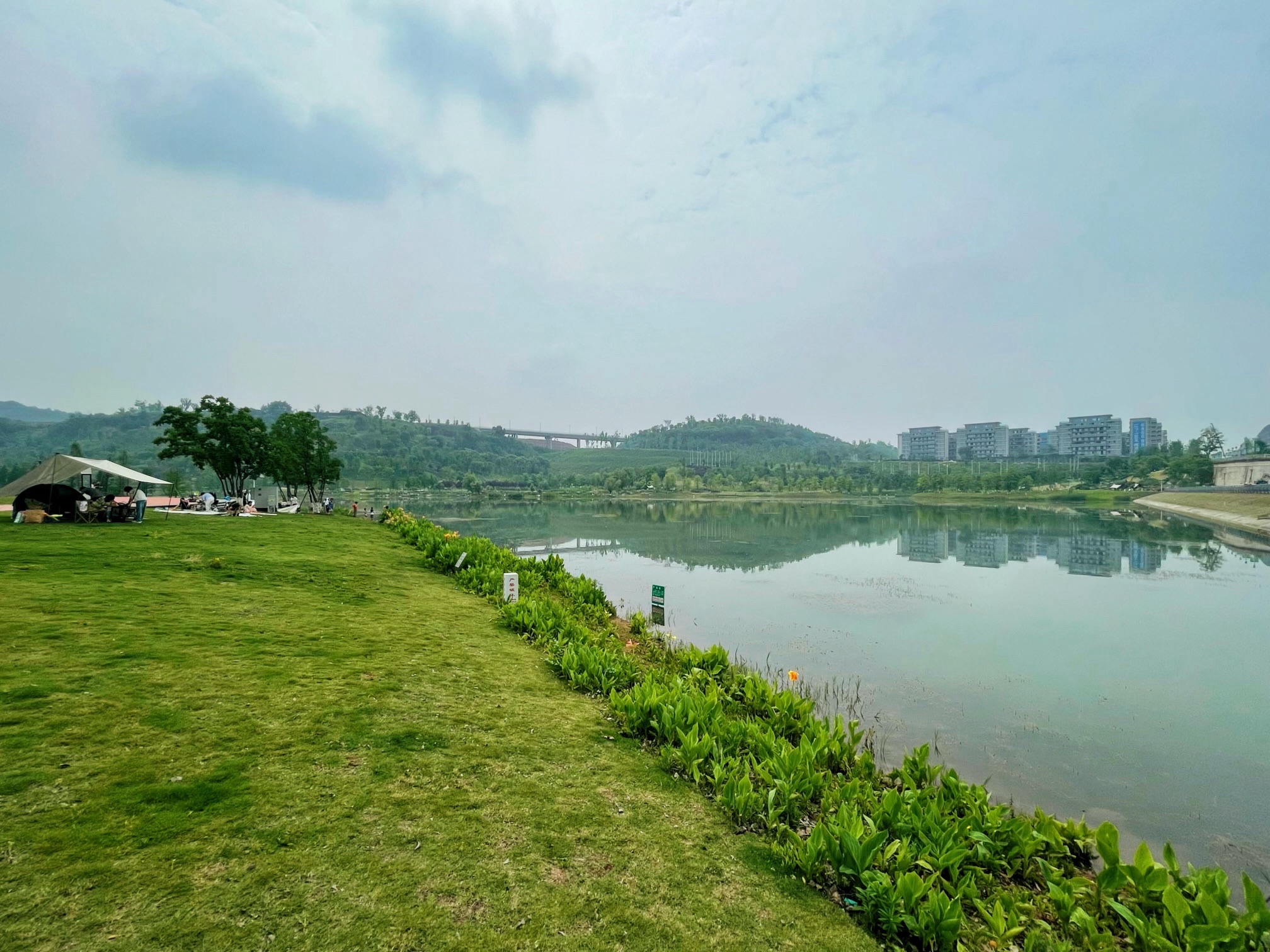 凤栖湖湿地公园