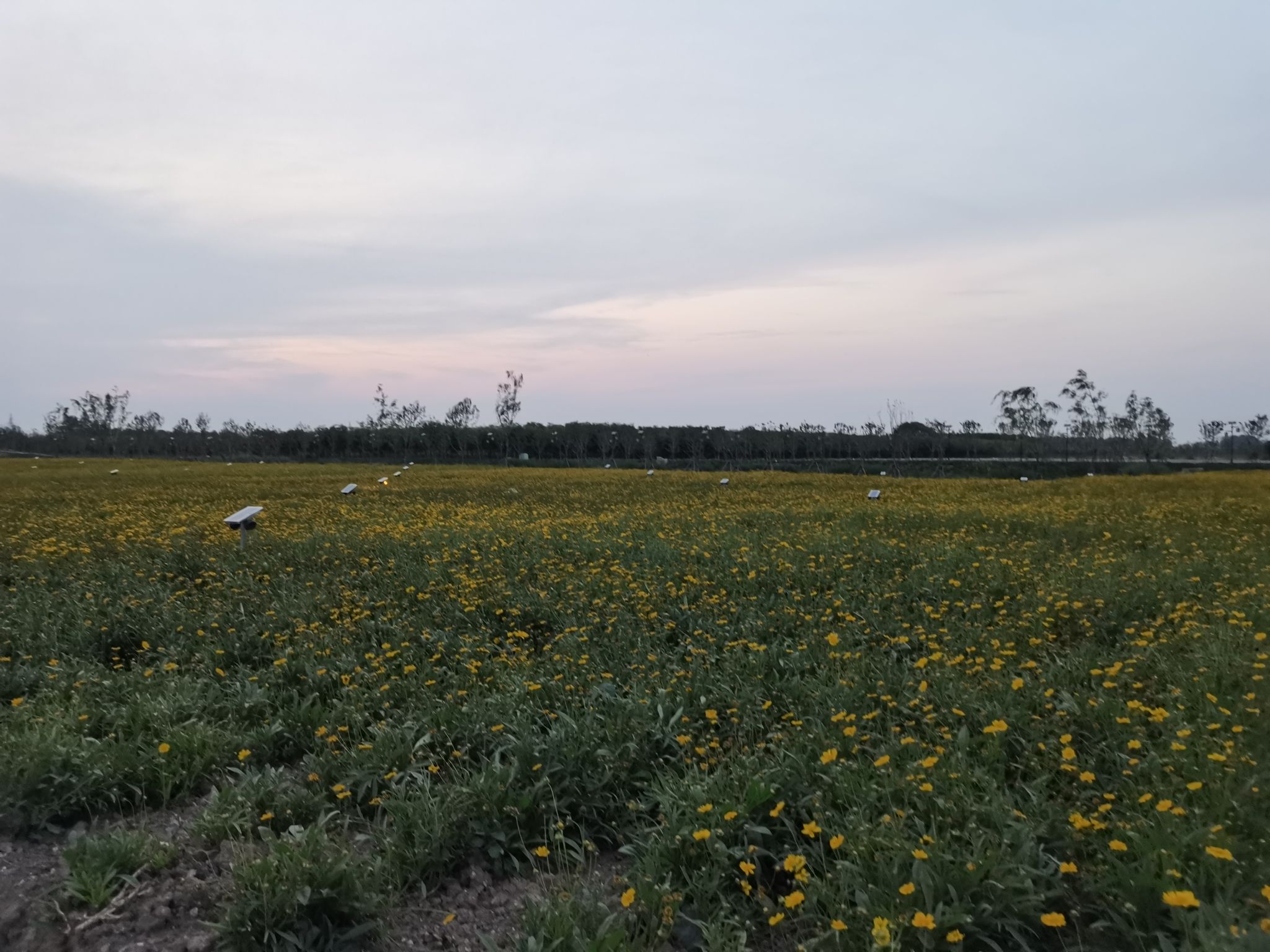 凤栖湖湿地公园旅行图片 3