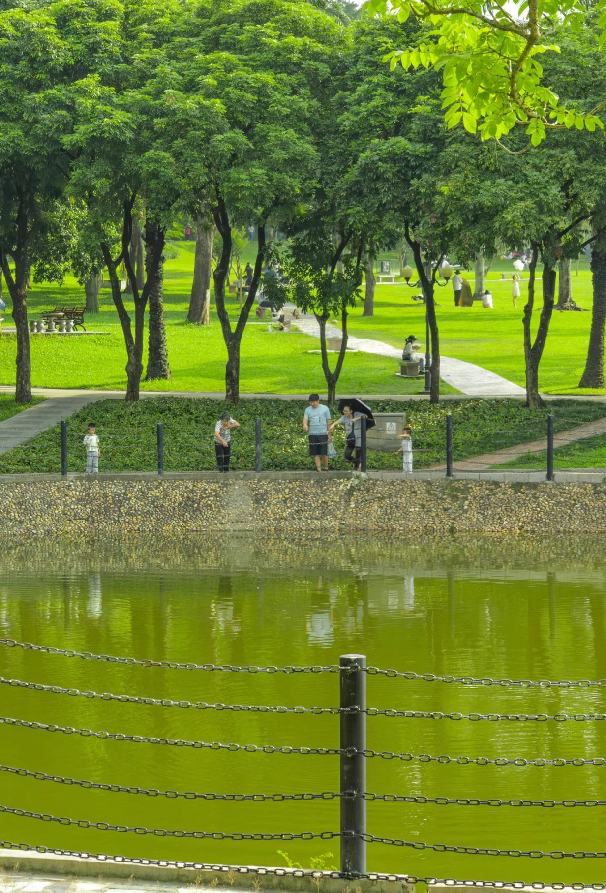 凤栖湖湿地公园旅行图片 2