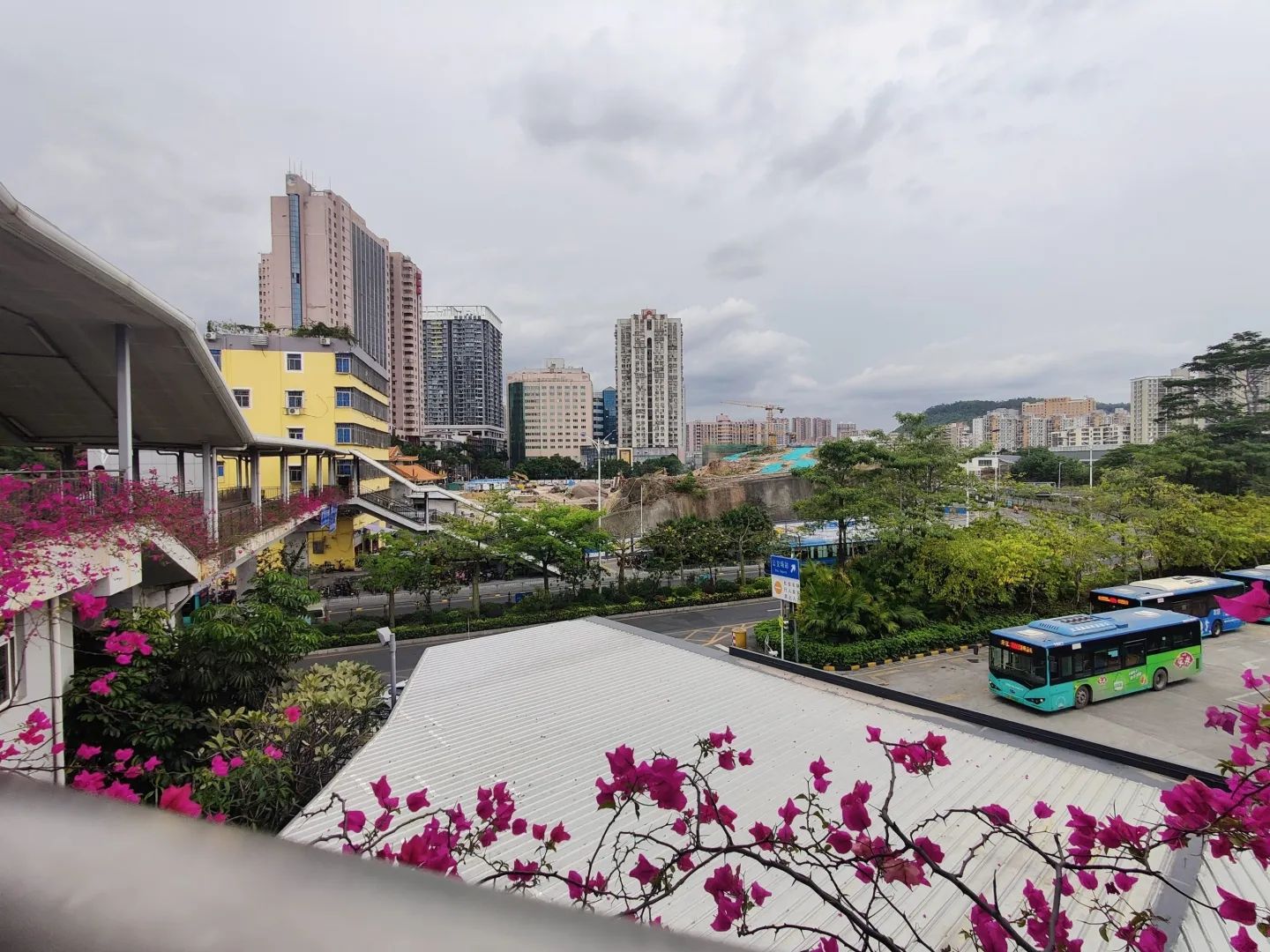 布吉公园旅行图片 3