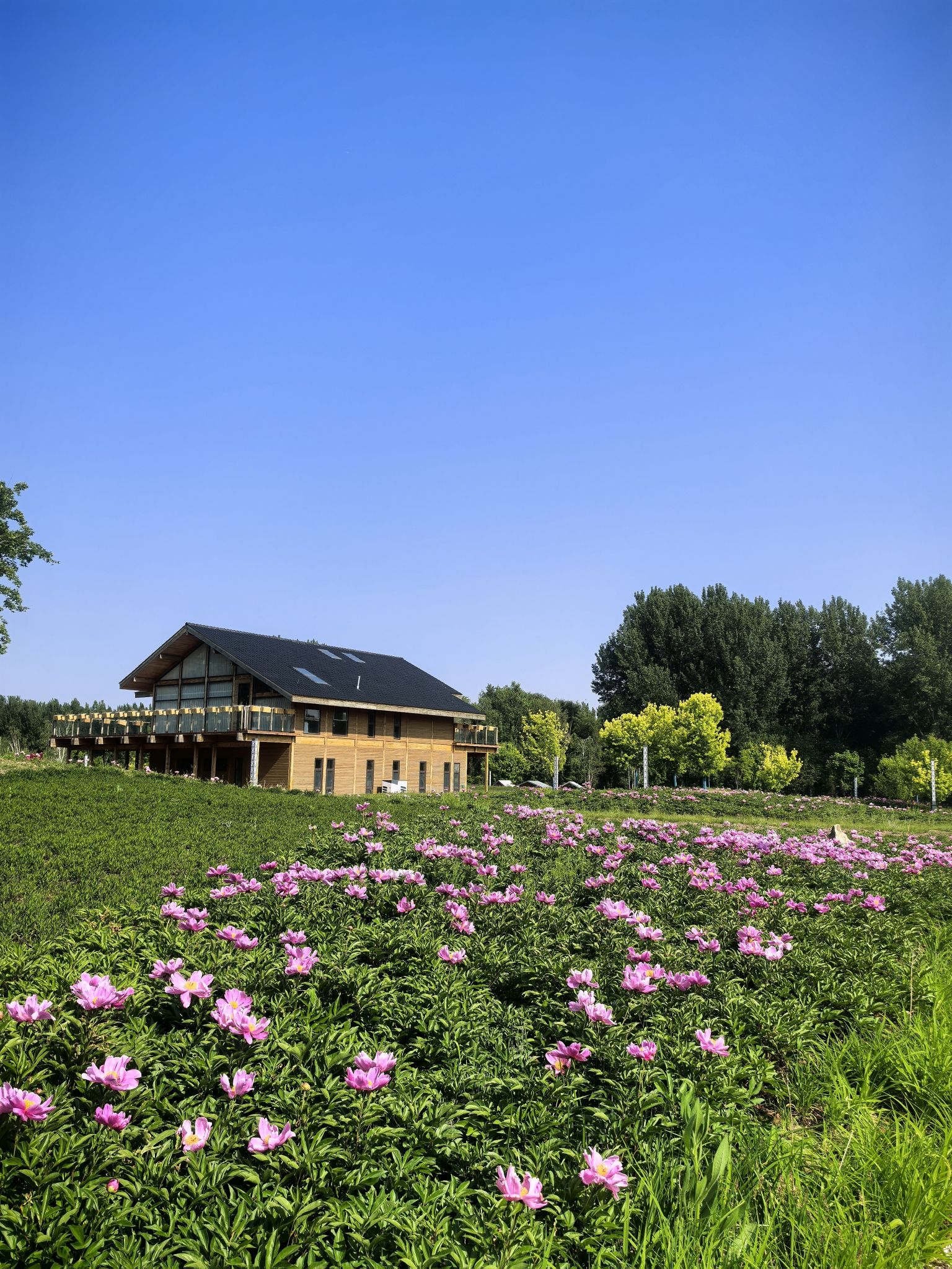 花间道运动公园旅行图片 3