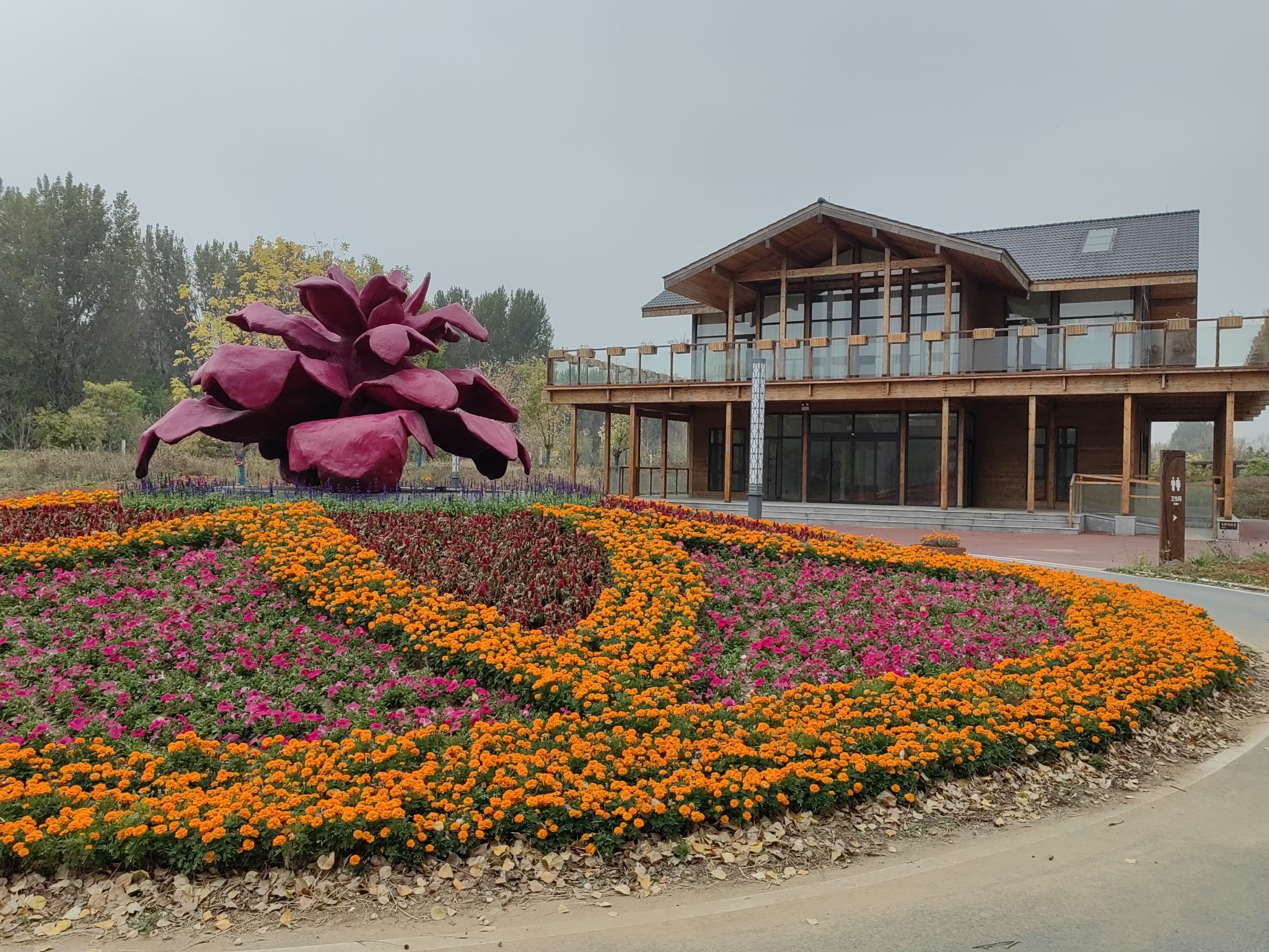 花间道运动公园旅行图片 1