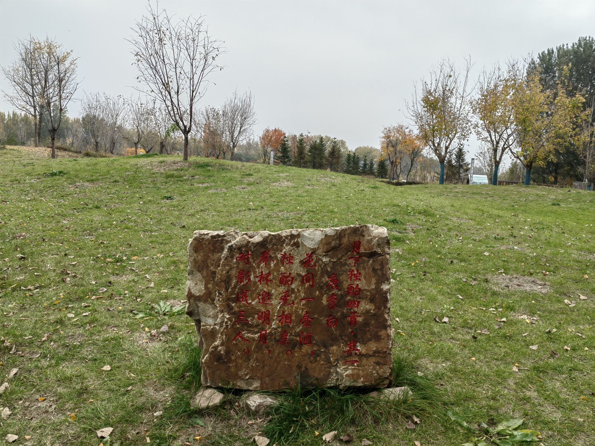 花间道运动公园旅行图片 3