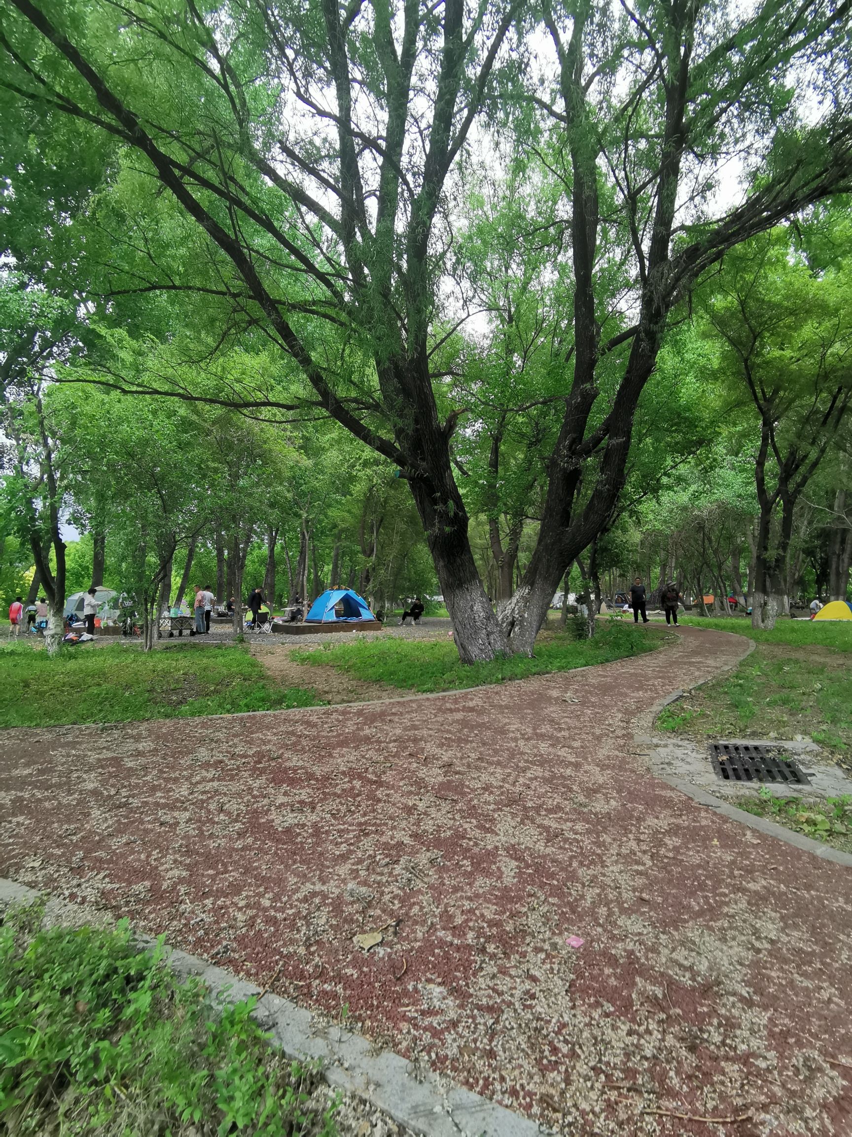 花间道运动公园旅行图片 3