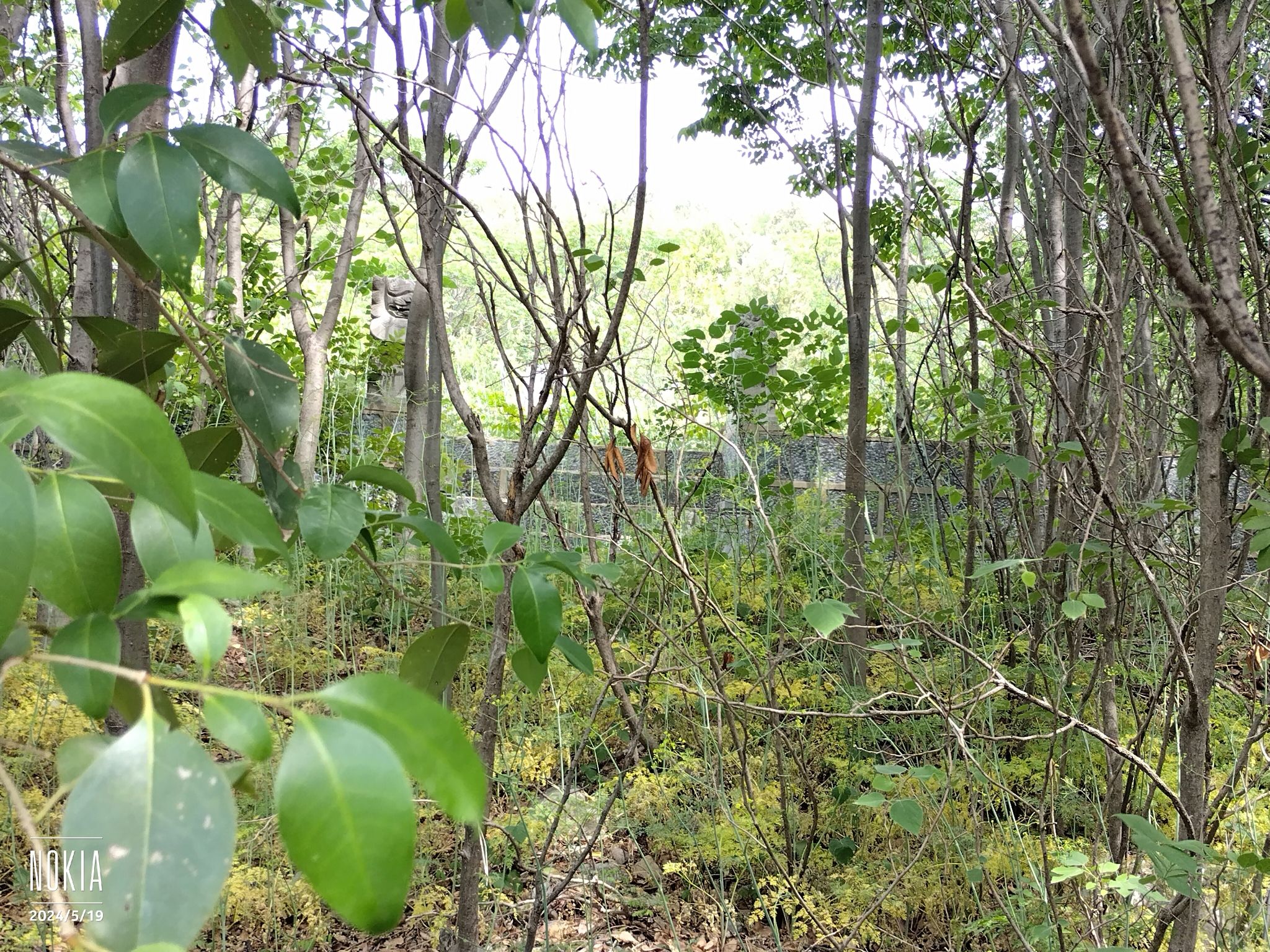 六清观旅行图片 3