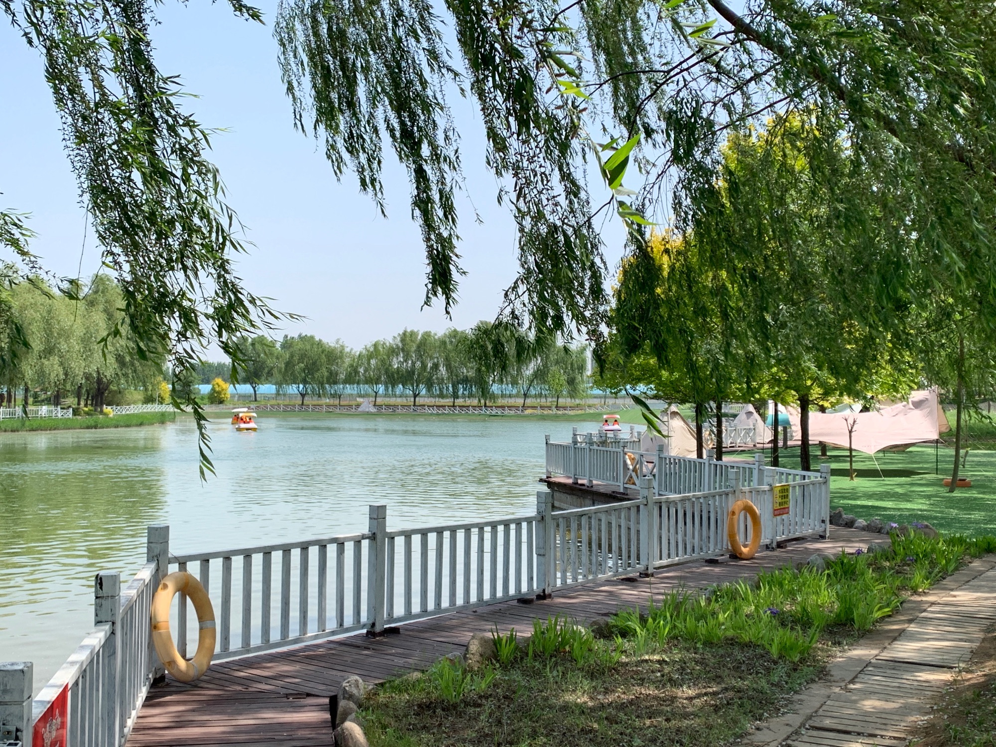 峡山阳光牧场旅行图片 1