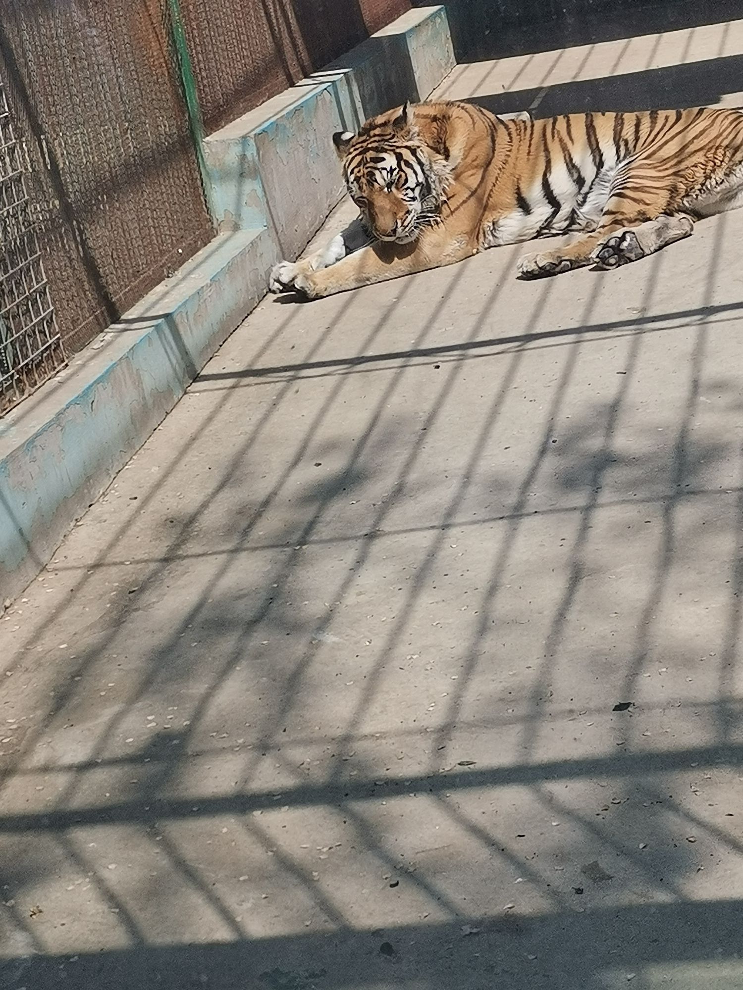 马家庄动物园旅行图片 2