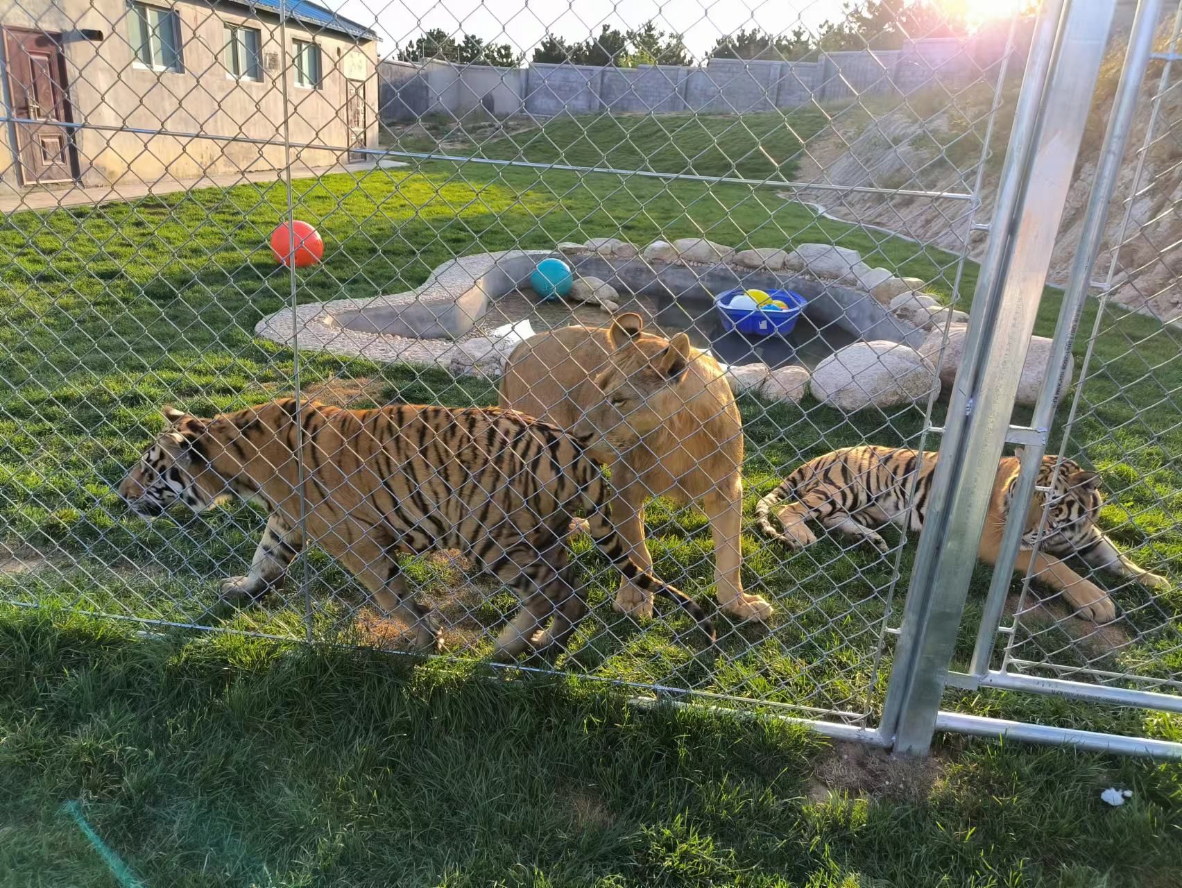 马家庄动物园旅行图片 2