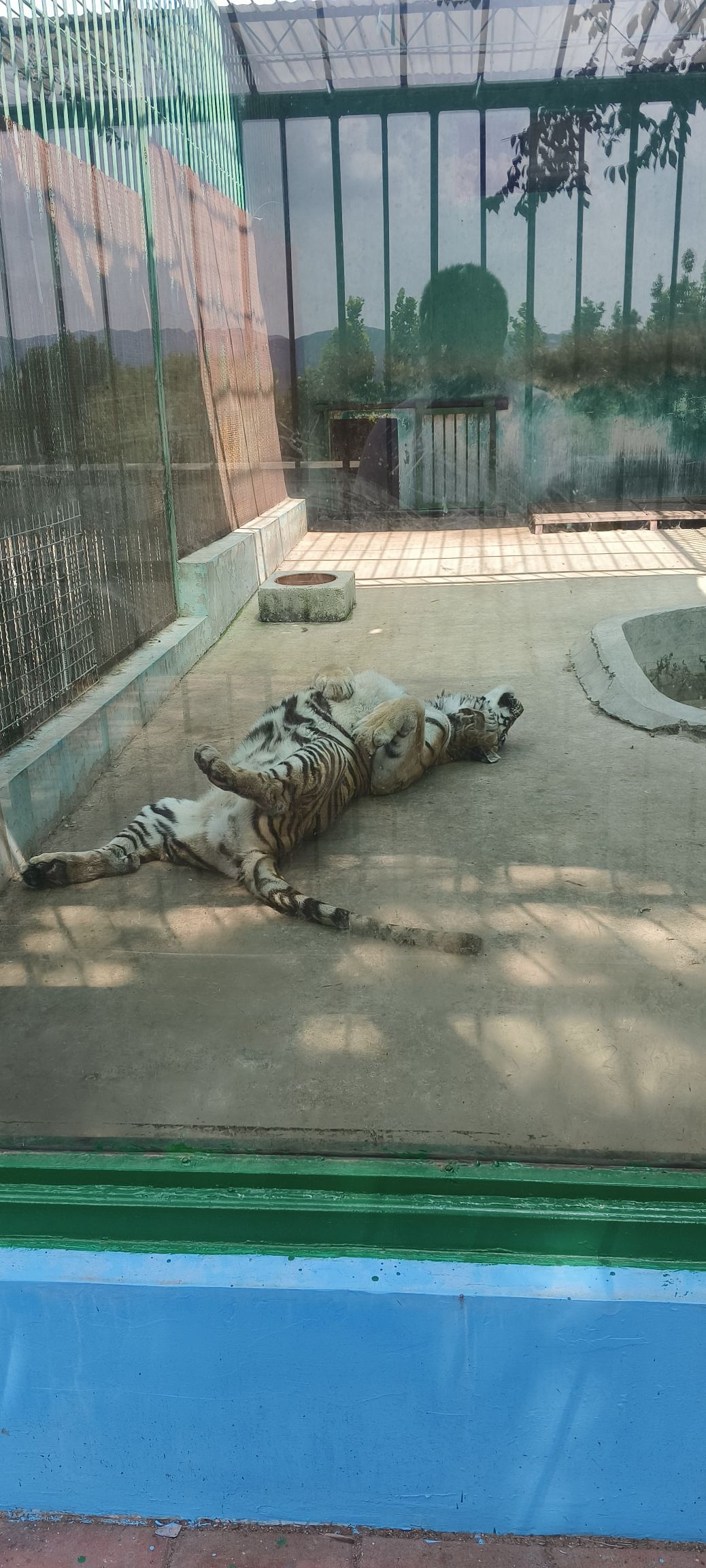 马家庄动物园旅行图片 3