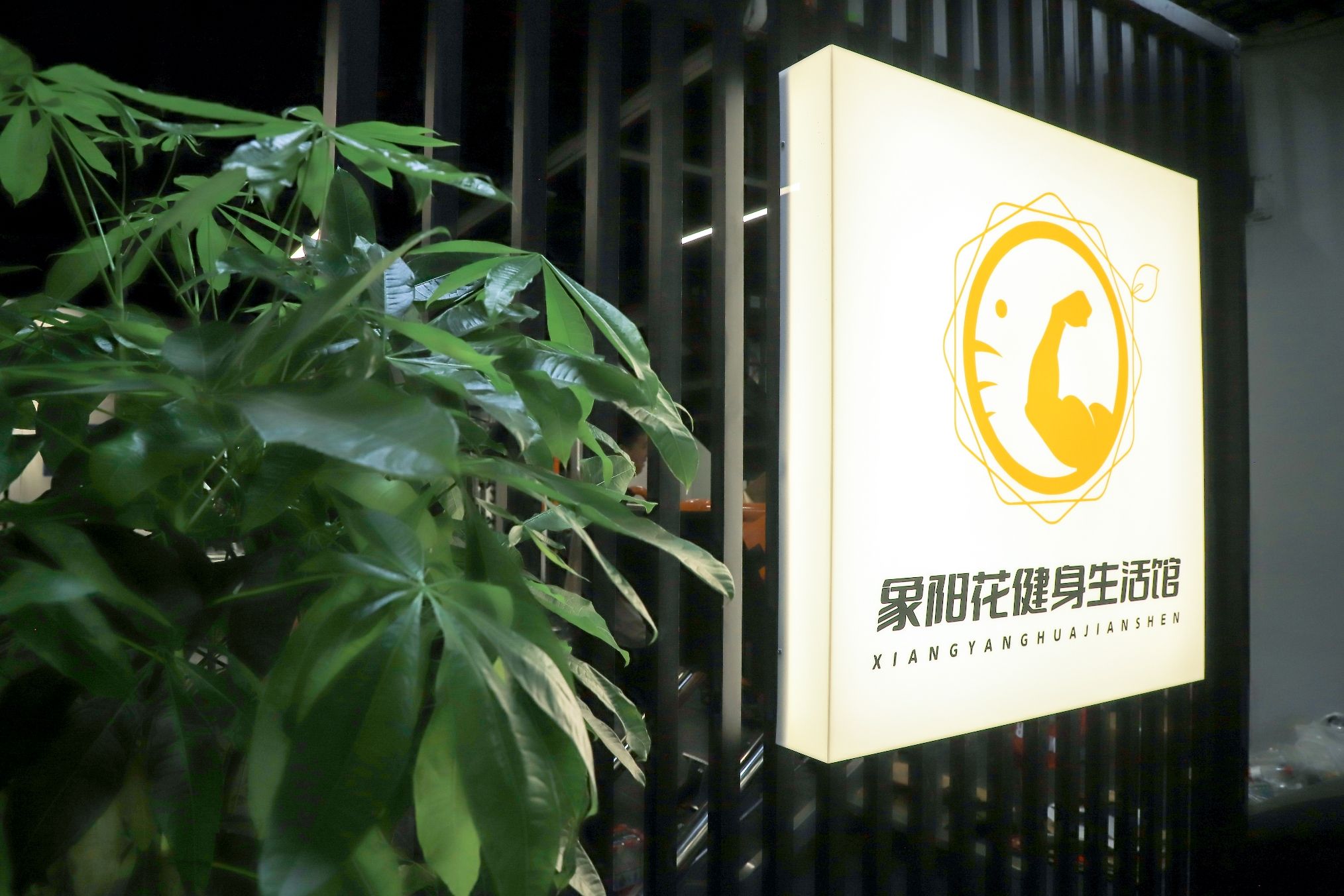 场地封面-象阳花健身生活馆