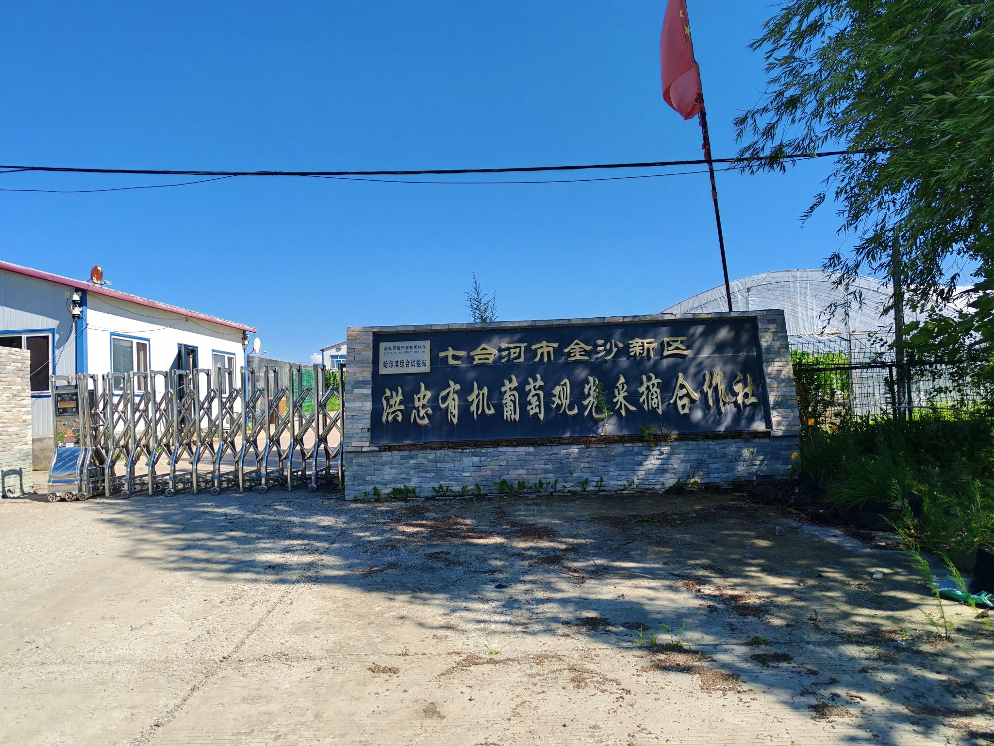 七台河市经济开发区洪忠葡萄种植专业合作社