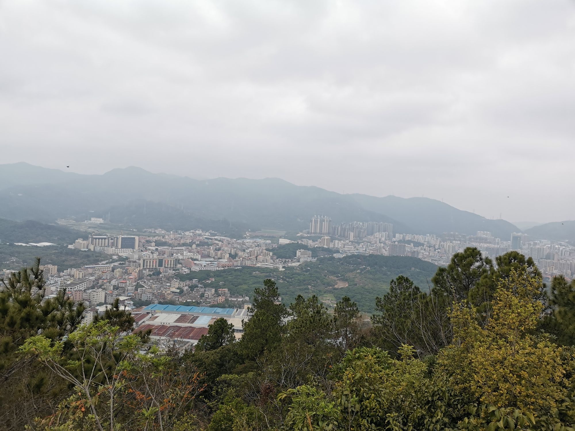 铜鼓岭市级森林公园旅行图片 2
