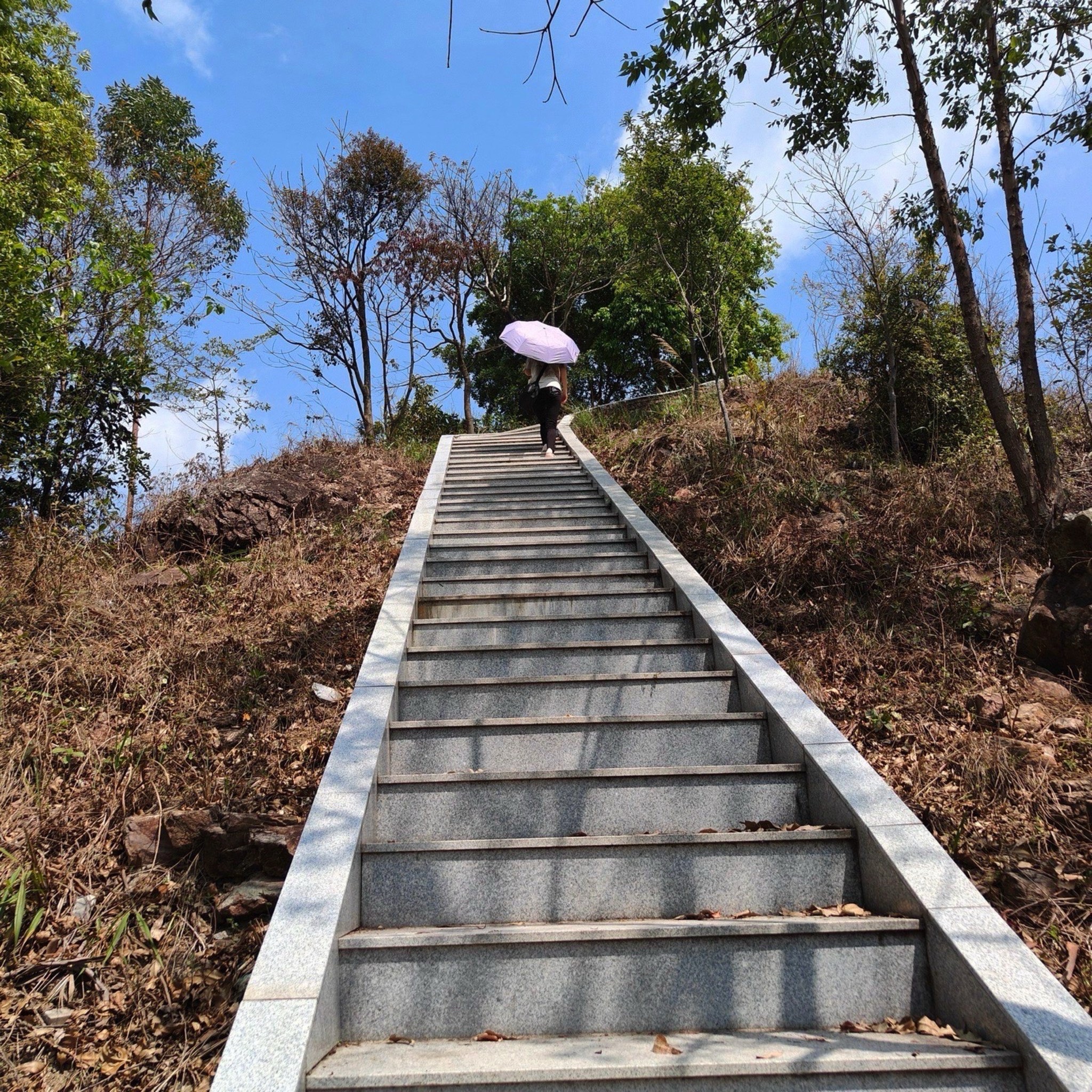 铜鼓岭市级森林公园旅行图片 2