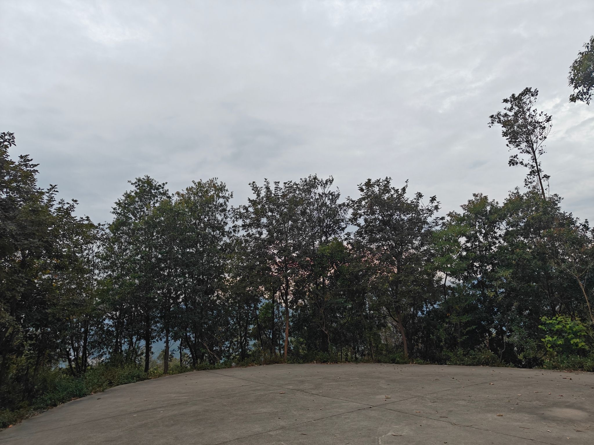 铜鼓岭市级森林公园旅行图片 1