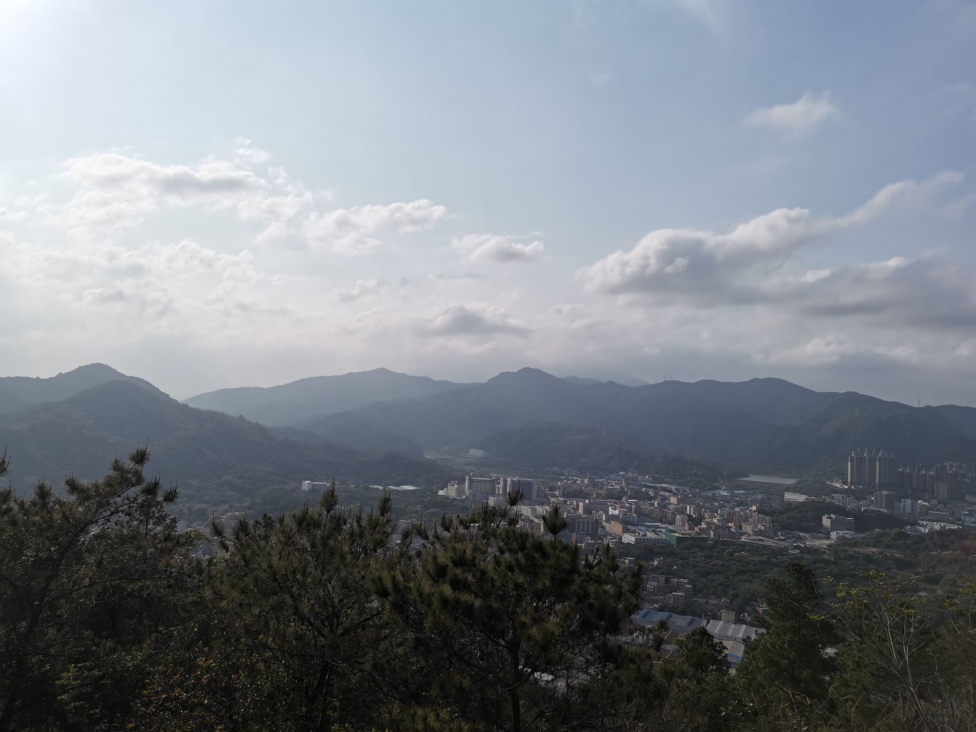 铜鼓岭市级森林公园旅行图片 3