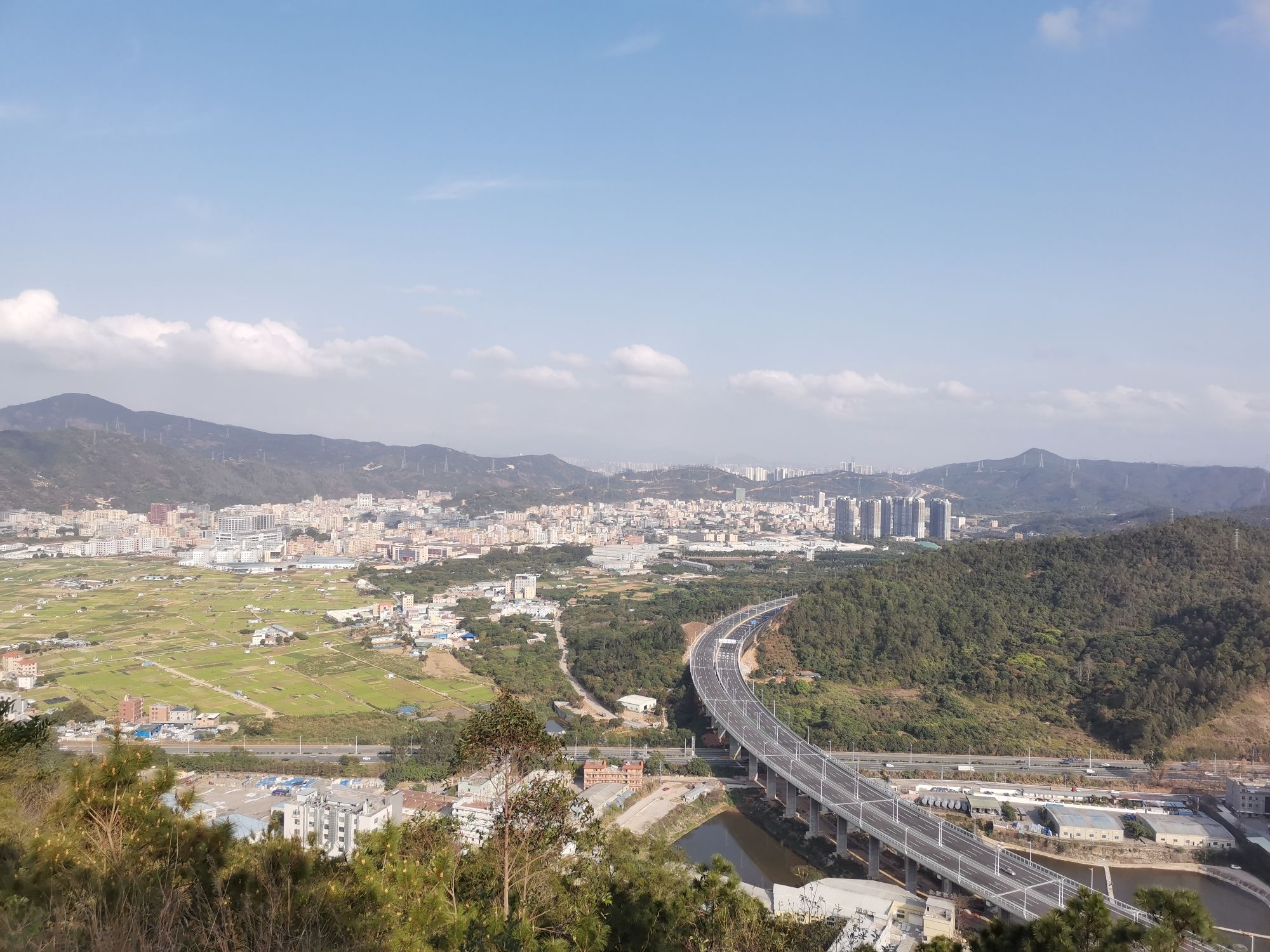 铜鼓岭市级森林公园旅行图片 2