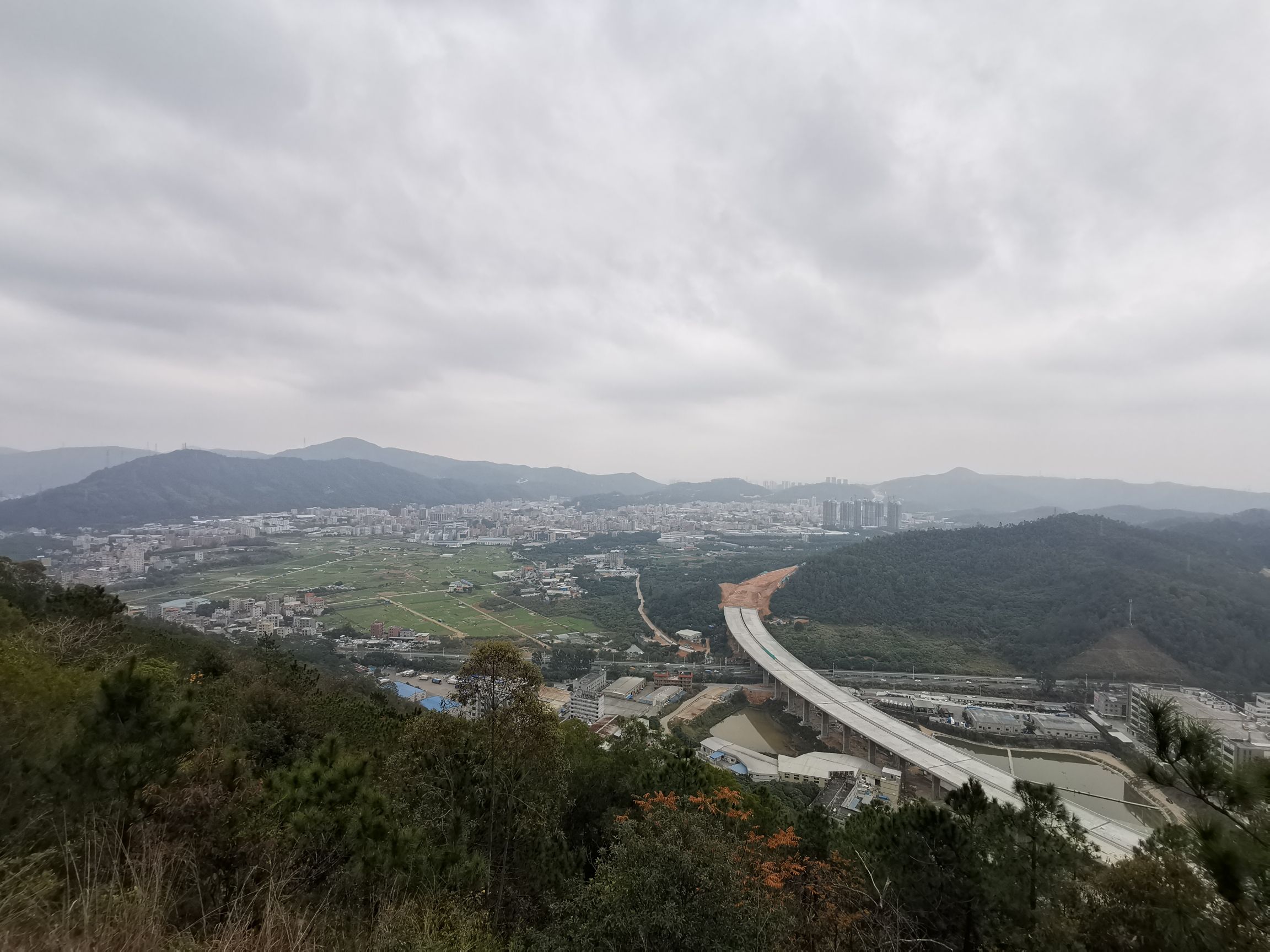 铜鼓岭市级森林公园旅行图片 1