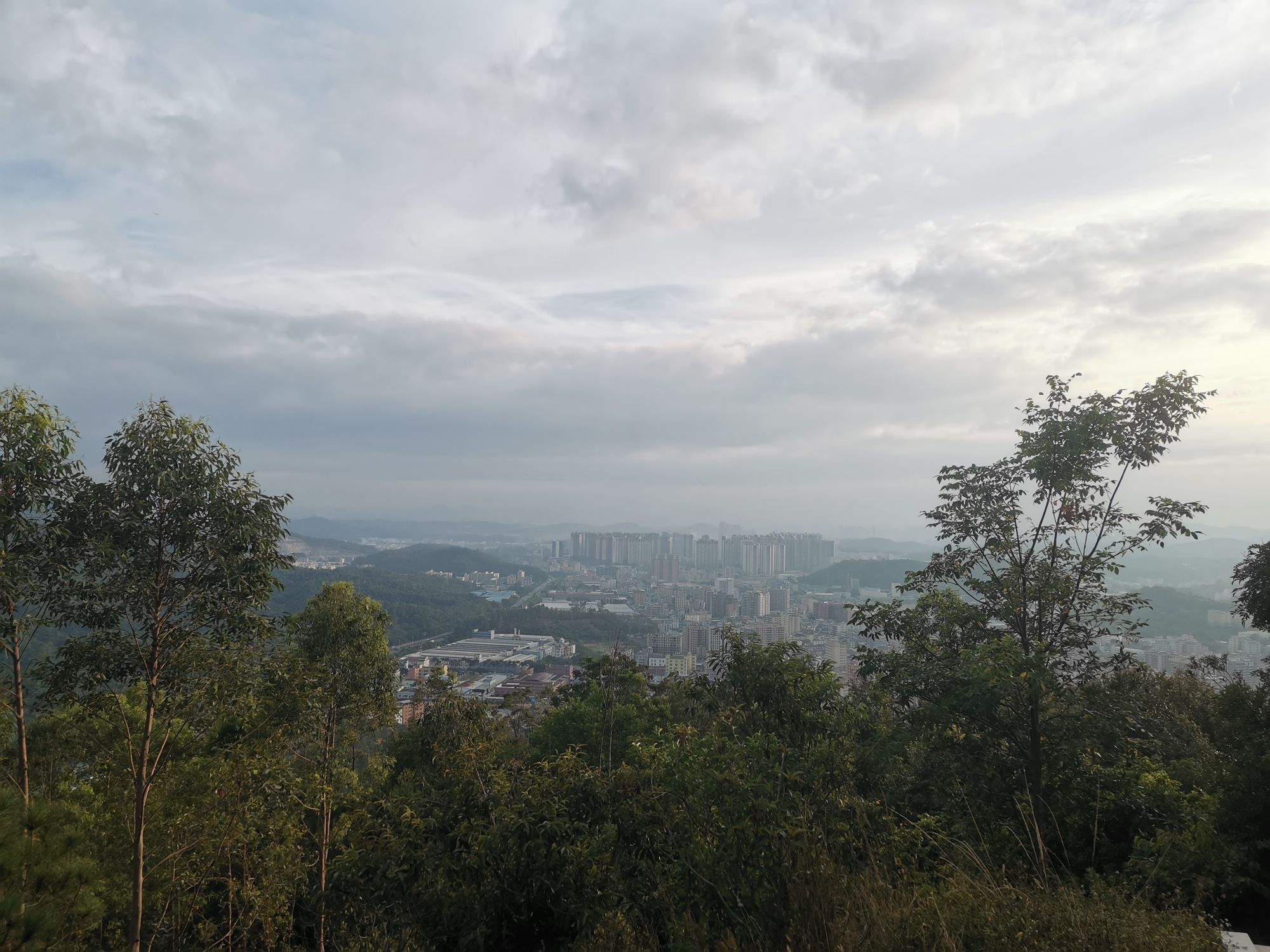铜鼓岭市级森林公园旅行图片 1