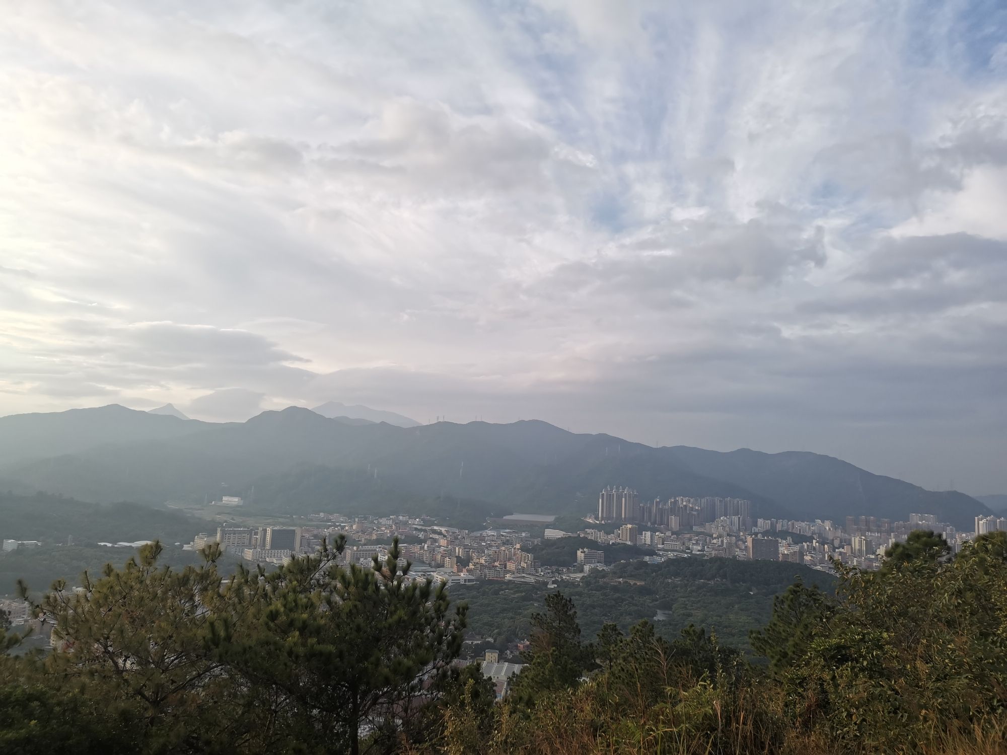 铜鼓岭市级森林公园旅行图片 3