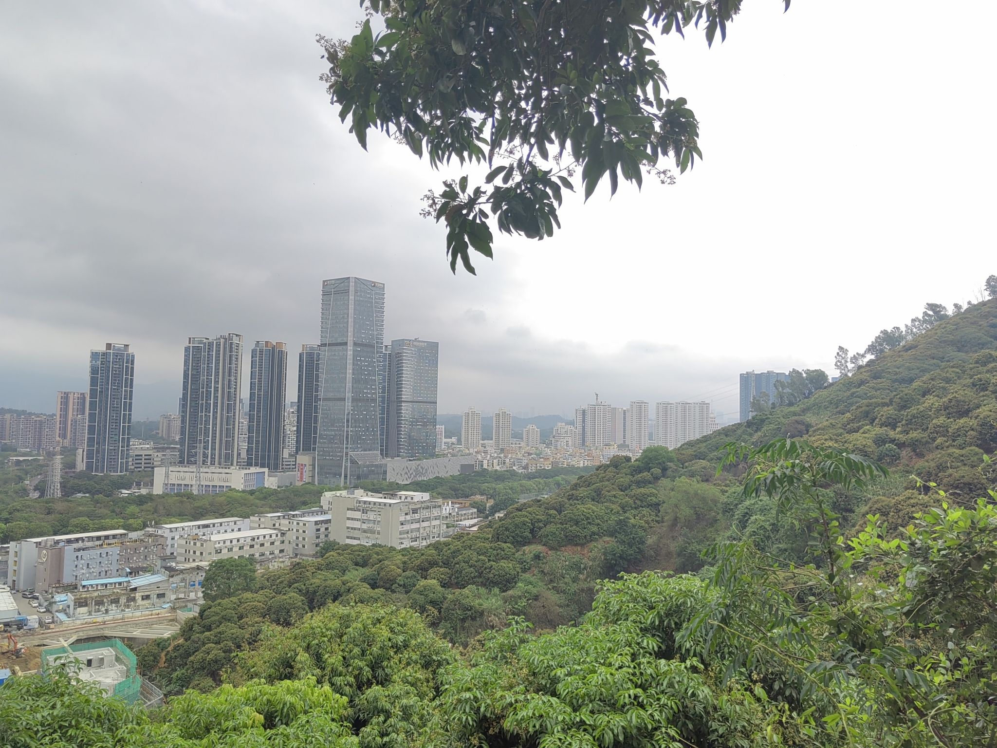 紫涧园旅行图片 1