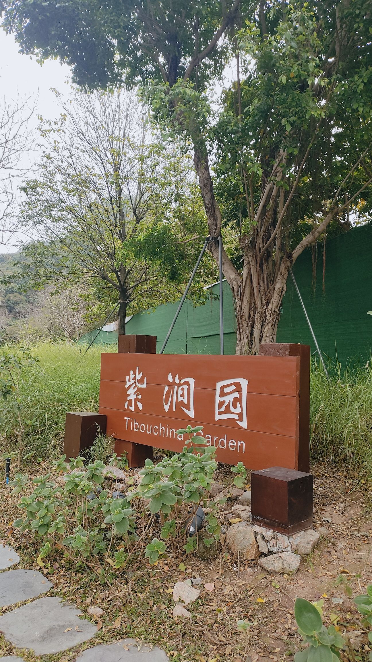 紫涧园旅行图片 1