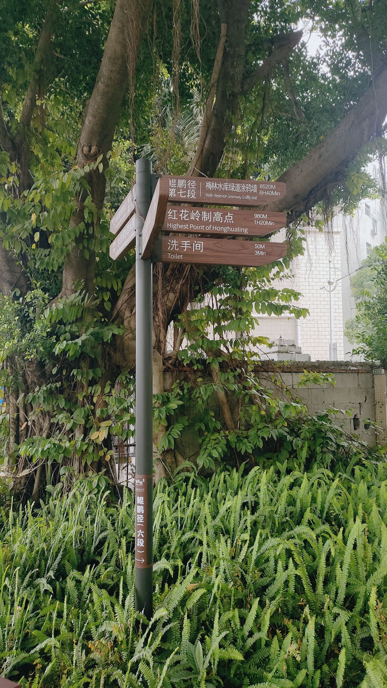 紫涧园旅行图片 2