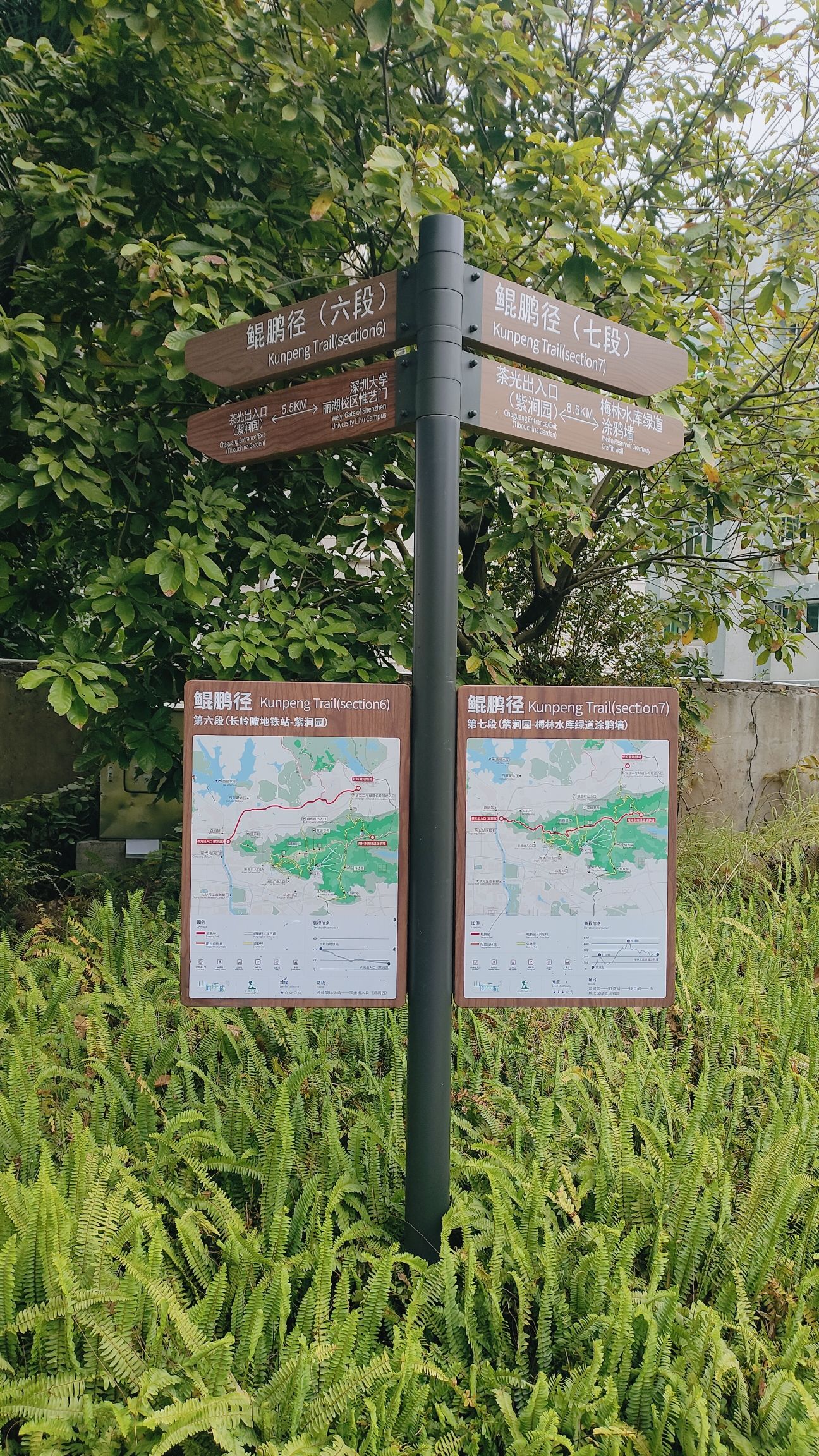 紫涧园旅行图片 3