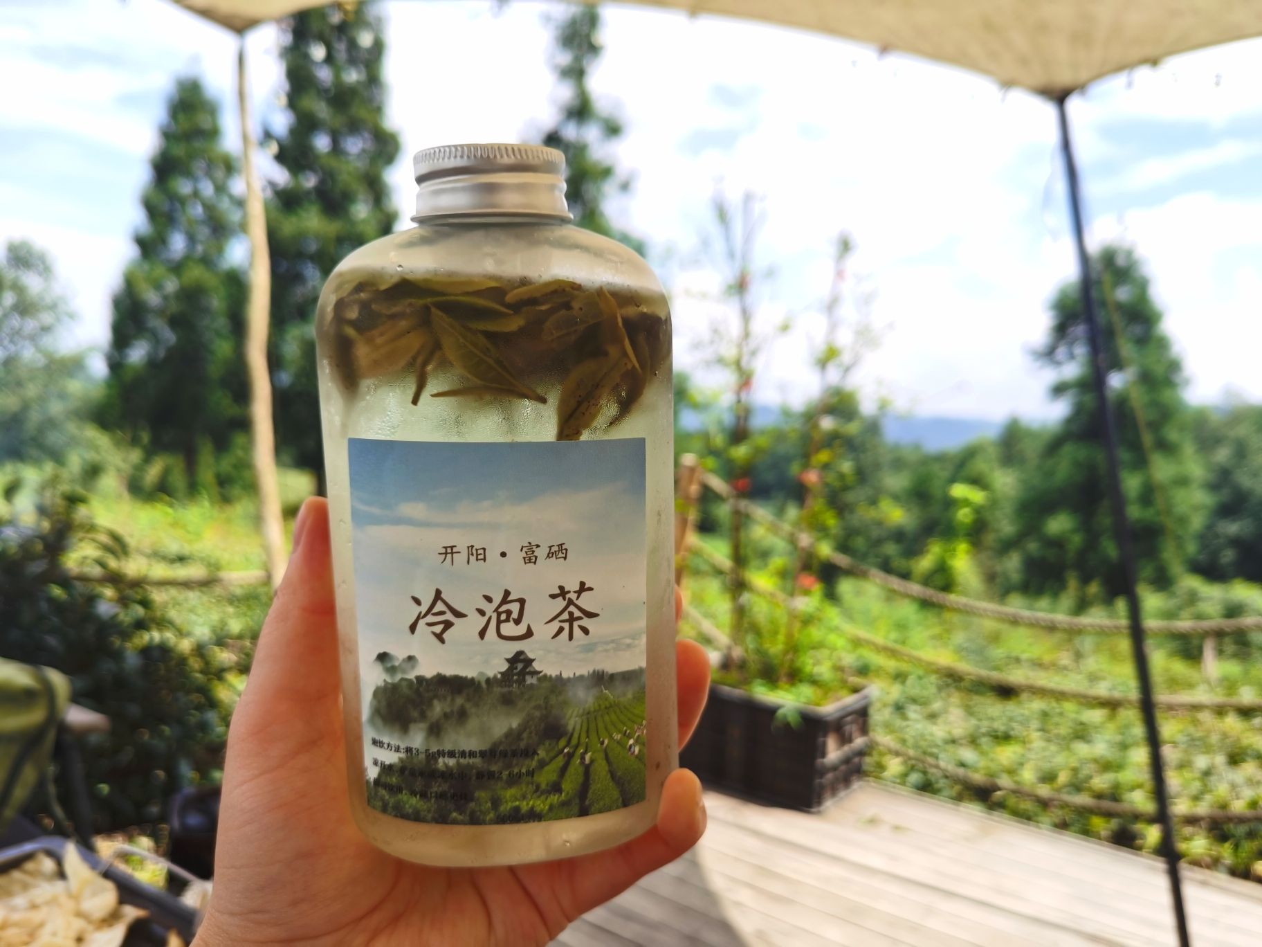 云山茶海露营地旅行图片 3