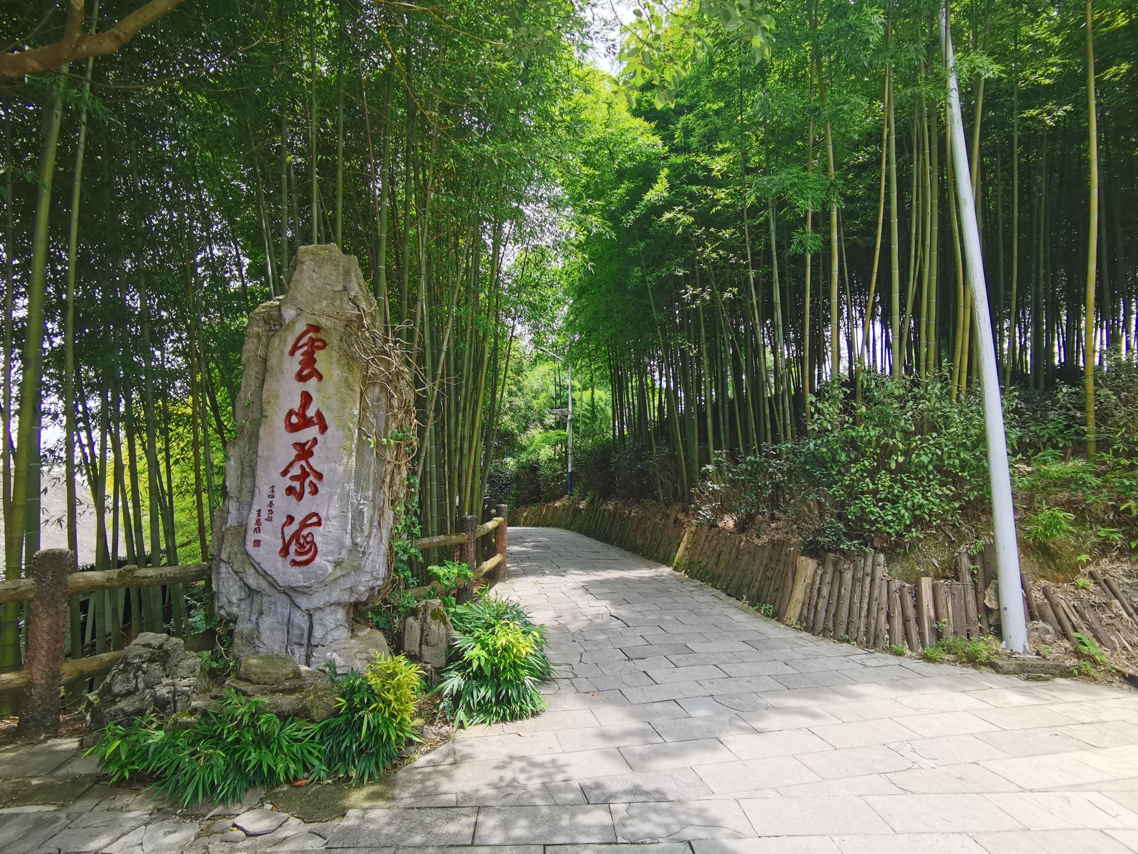 云山茶海露营地旅行图片 1