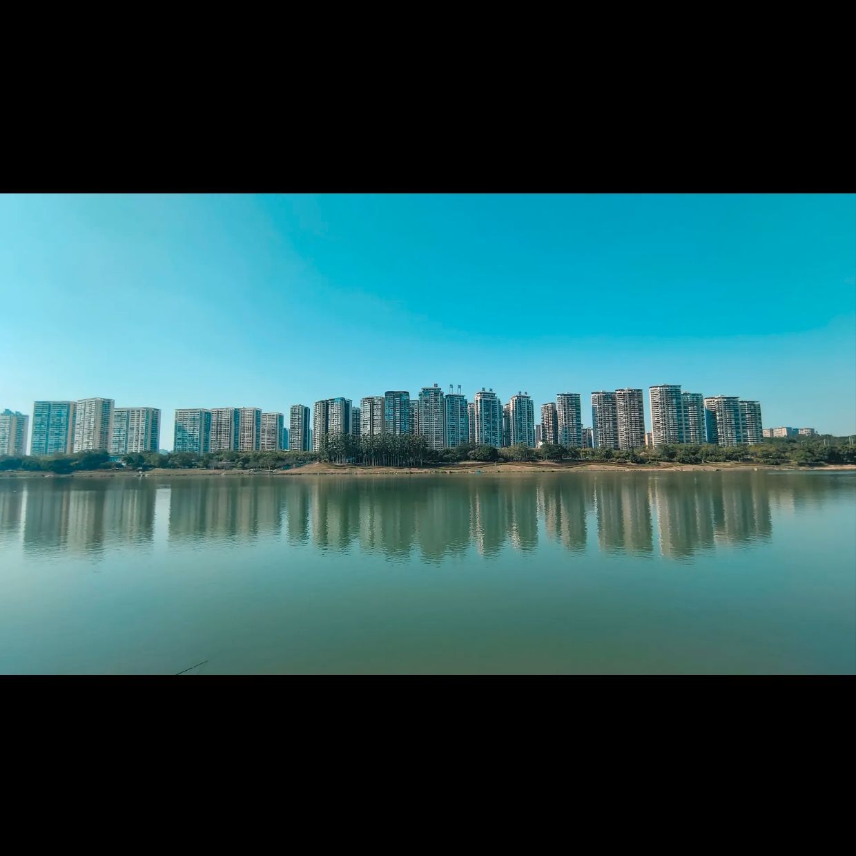 滨江公园旅行图片 1
