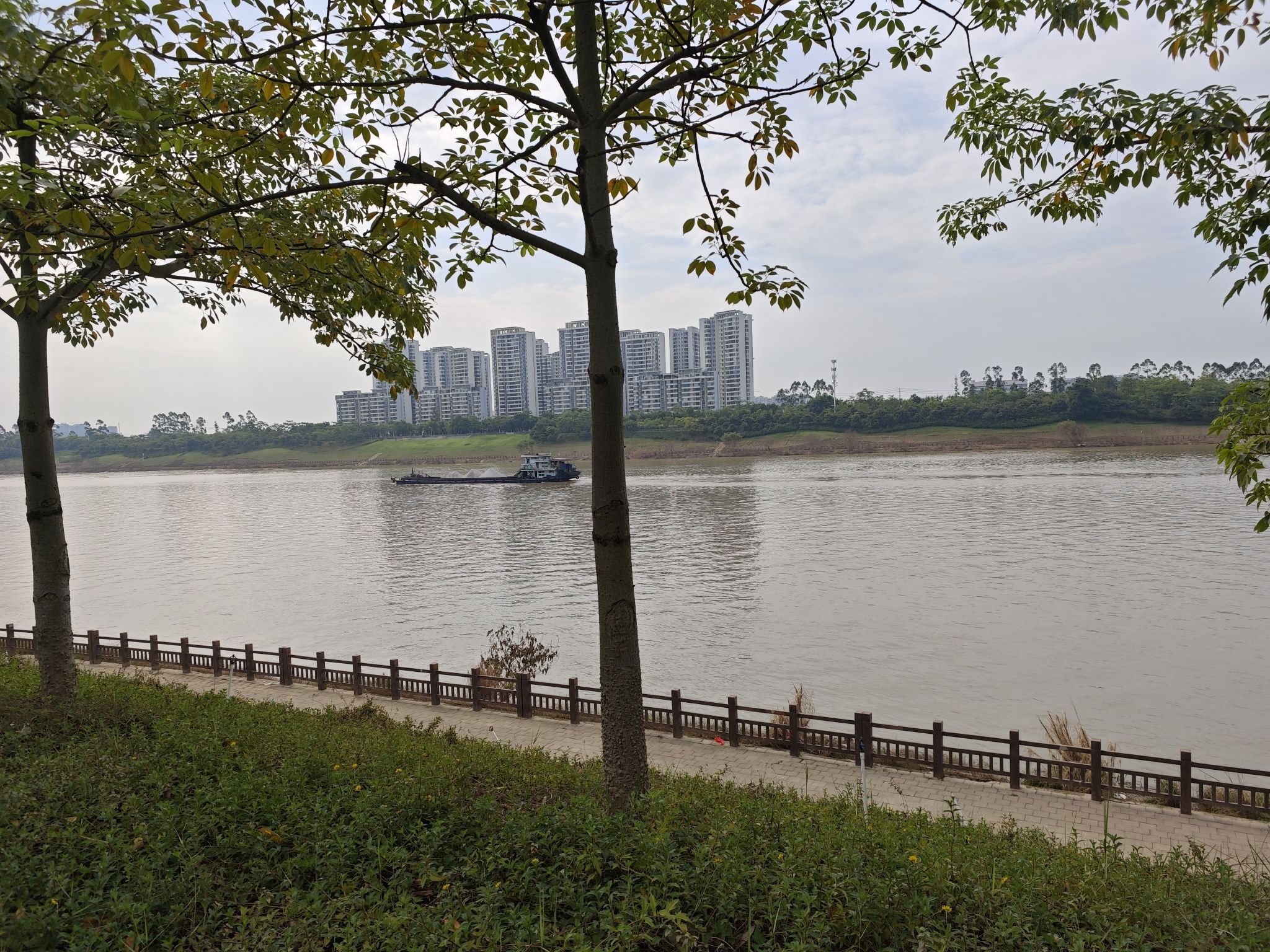 滨江公园旅行图片 2