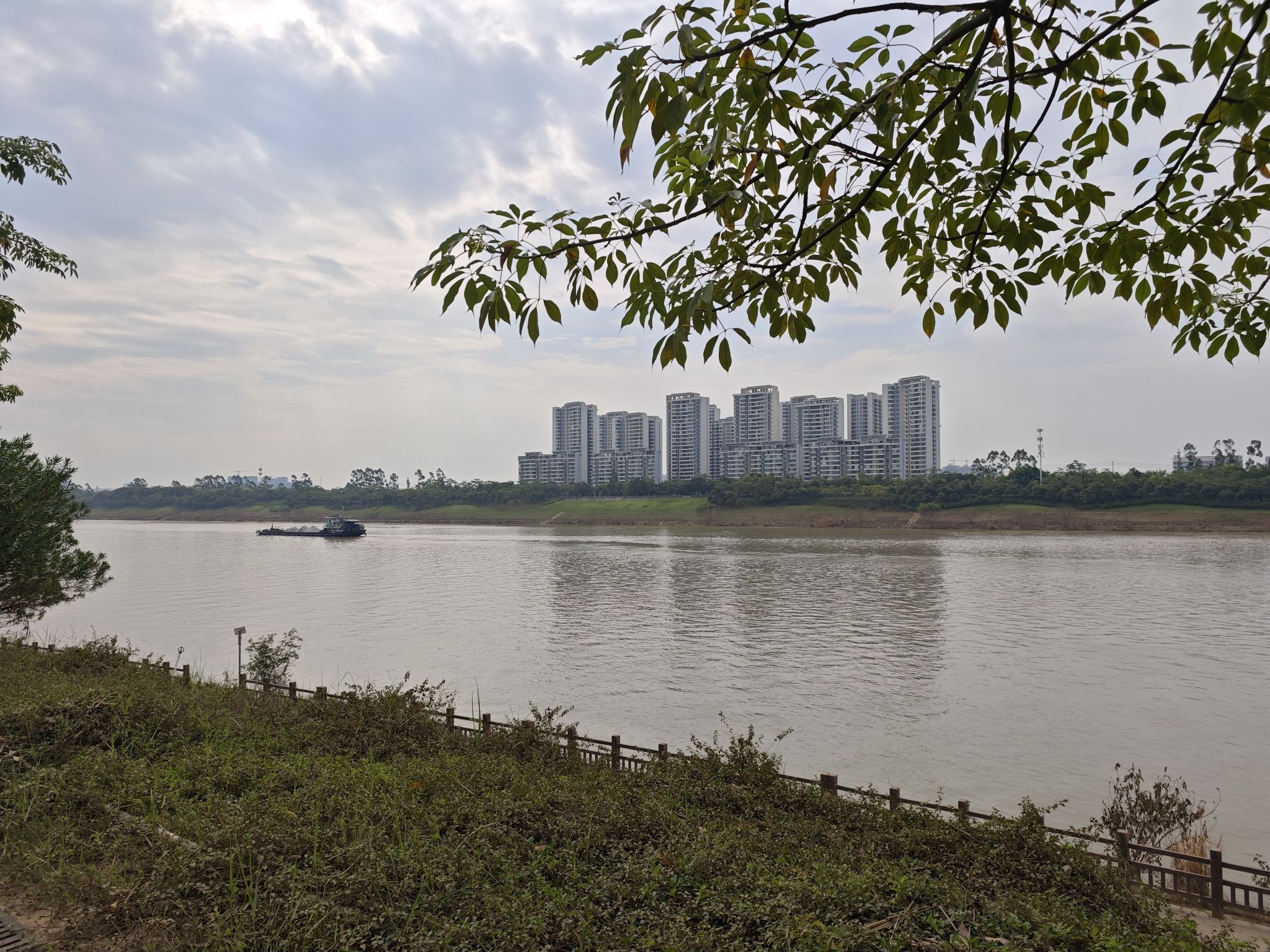 滨江公园旅行图片 1
