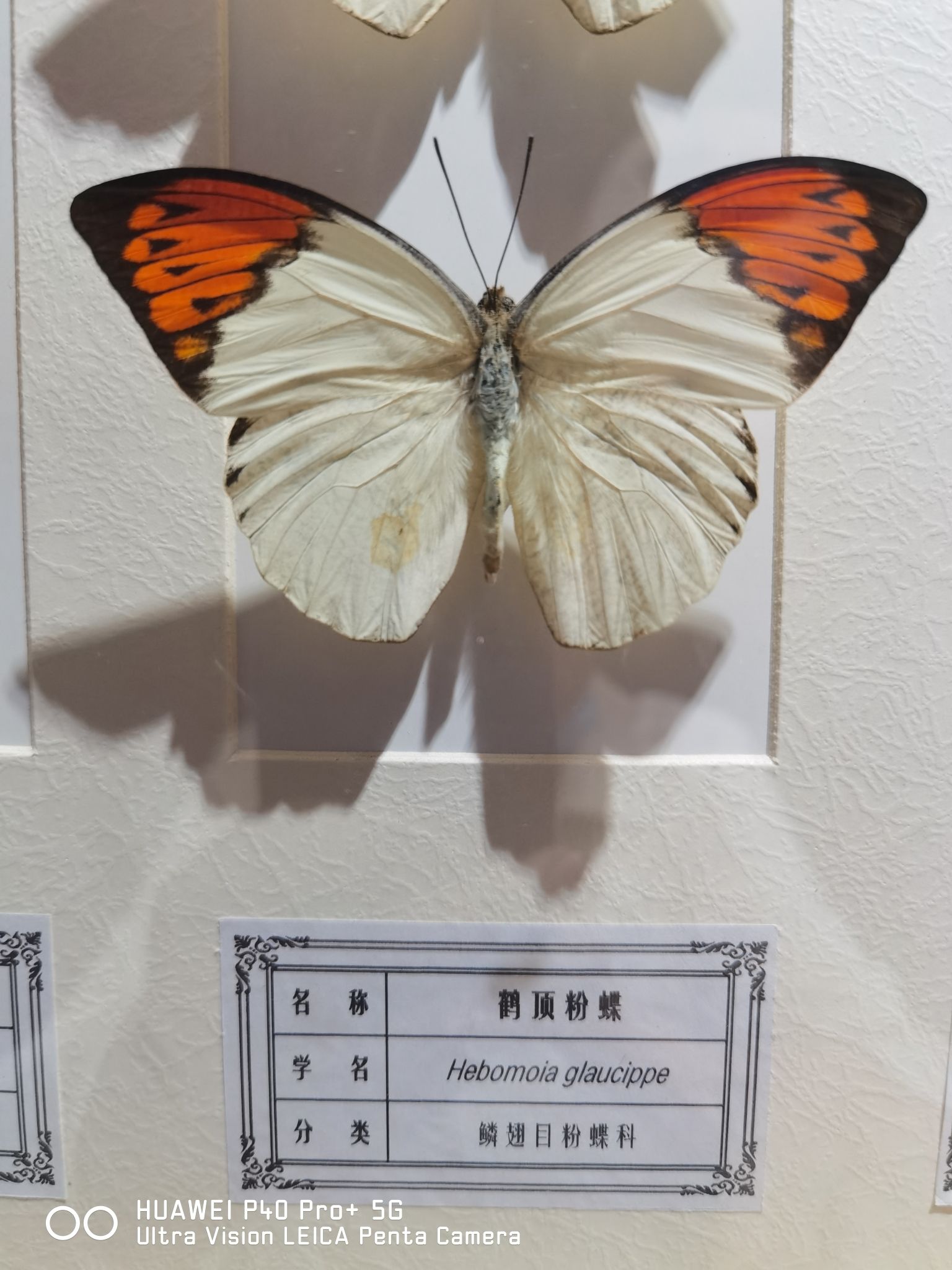 田雨度假区旅行图片 2