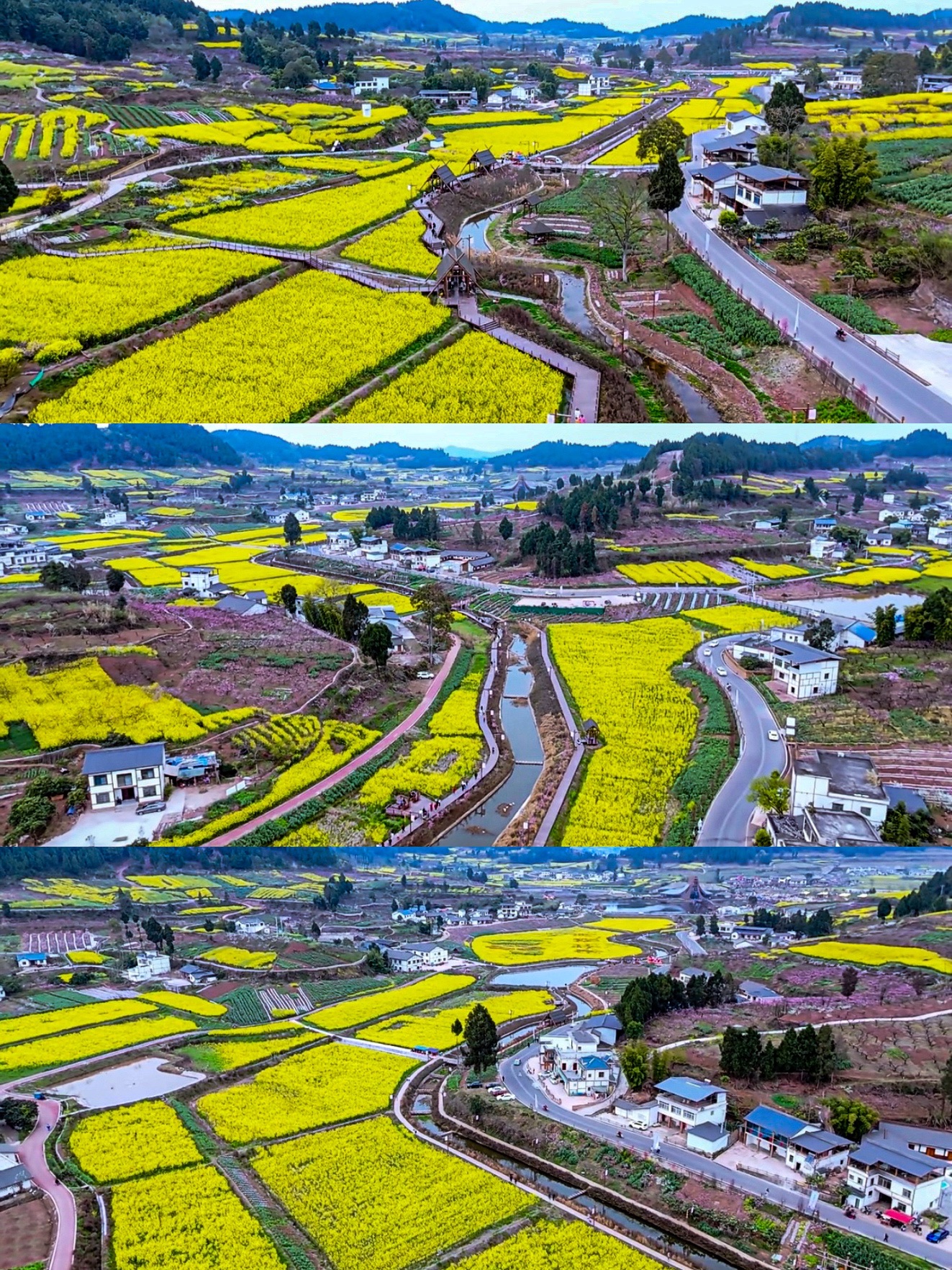 宋井桃源旅行图片 2