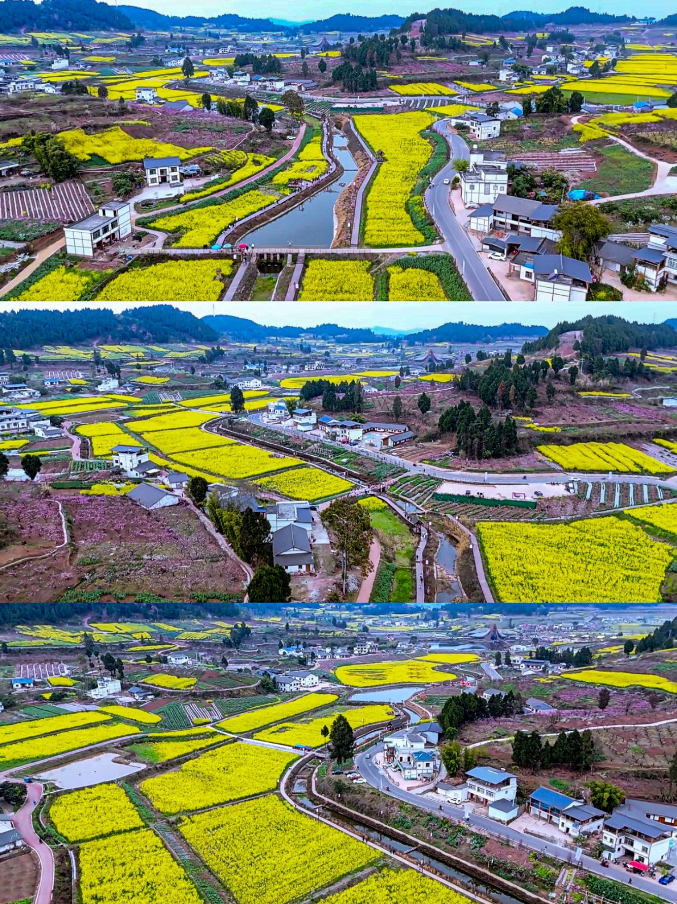 宋井桃源旅行图片 1