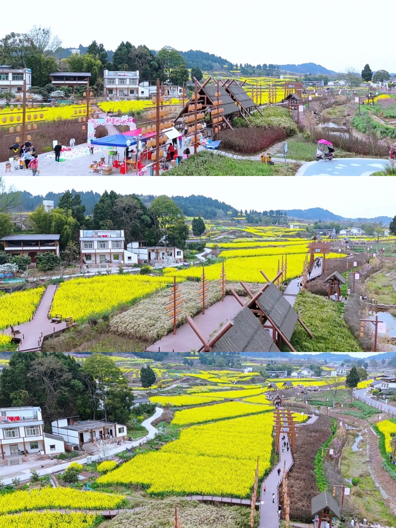 宋井桃源旅行图片 3